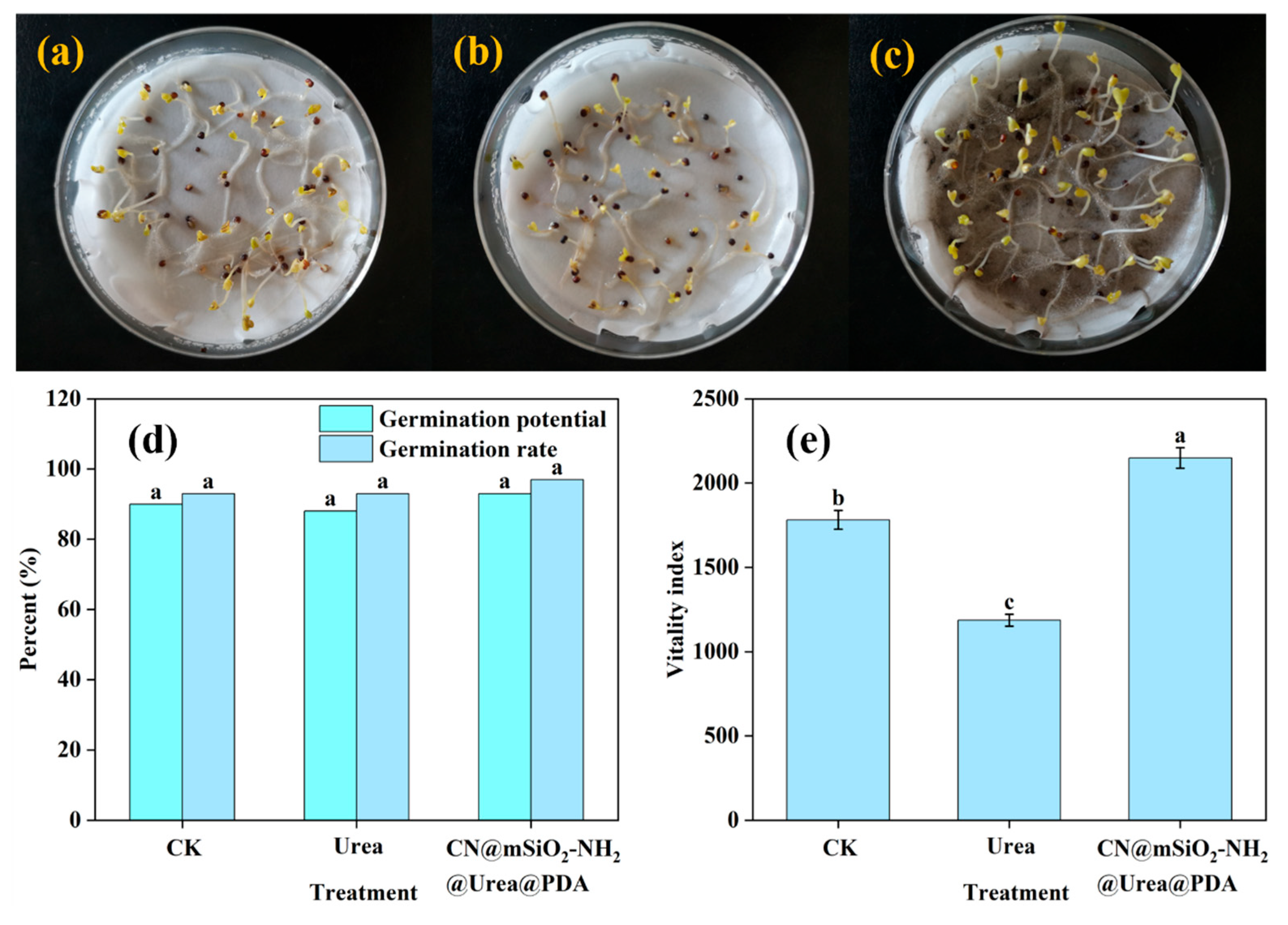 Nanomaterials 15 00565 g008
