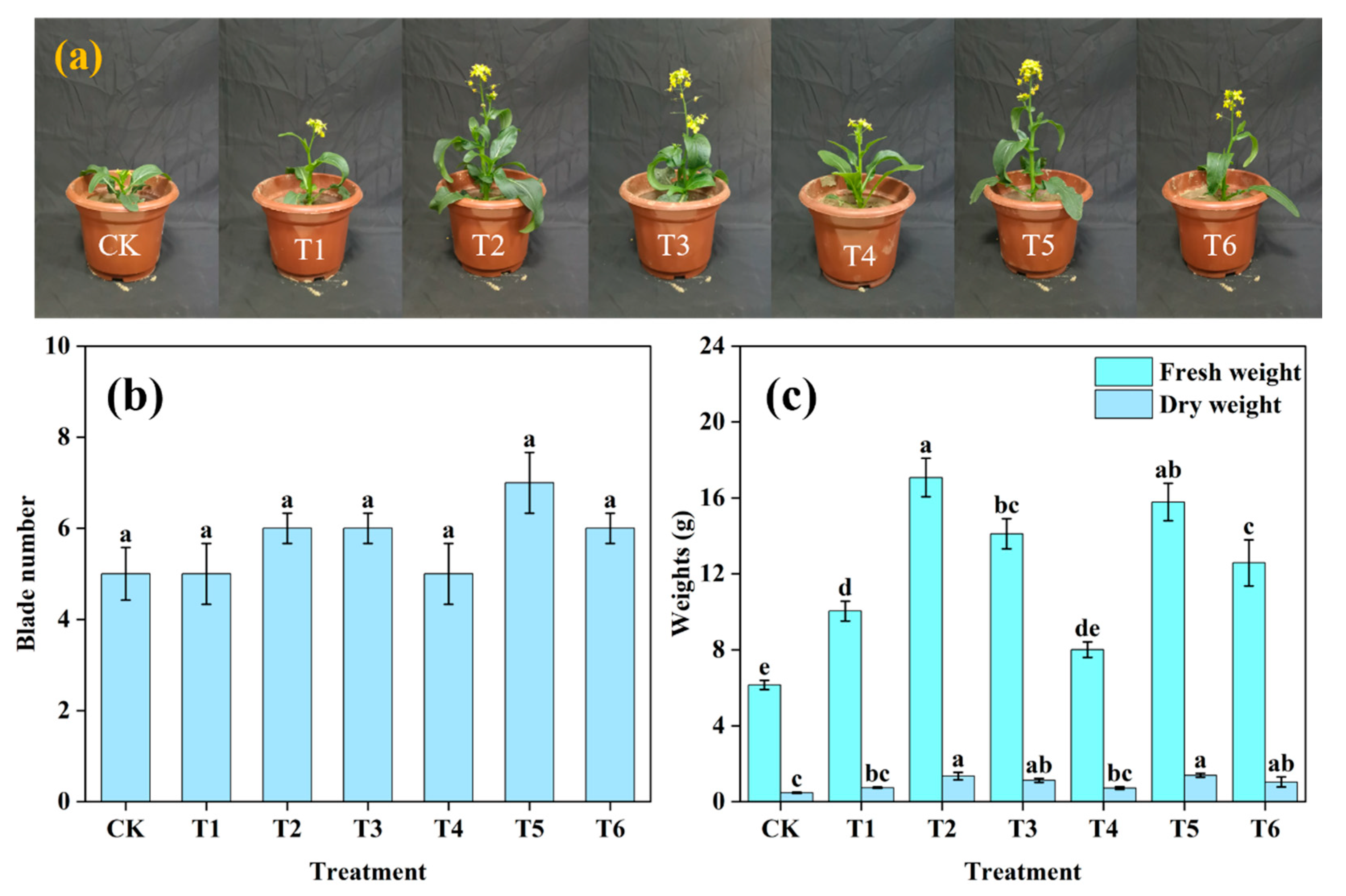 Nanomaterials 15 00565 g009
