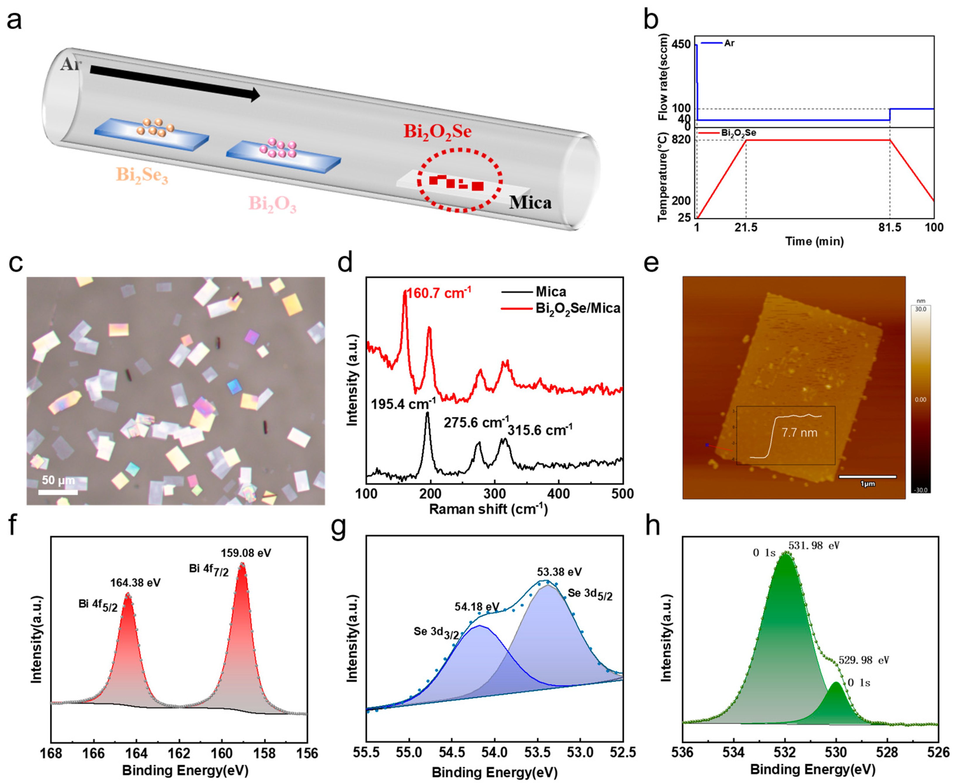 Nanomaterials 15 00567 g001