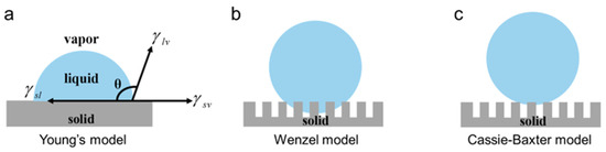 Femtosecond Laser Fabrication of Wettability-Functional