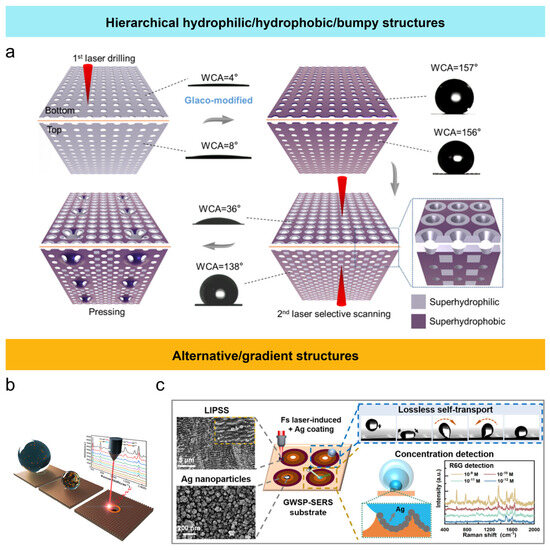 Femtosecond Laser Fabrication of Wettability-Functional