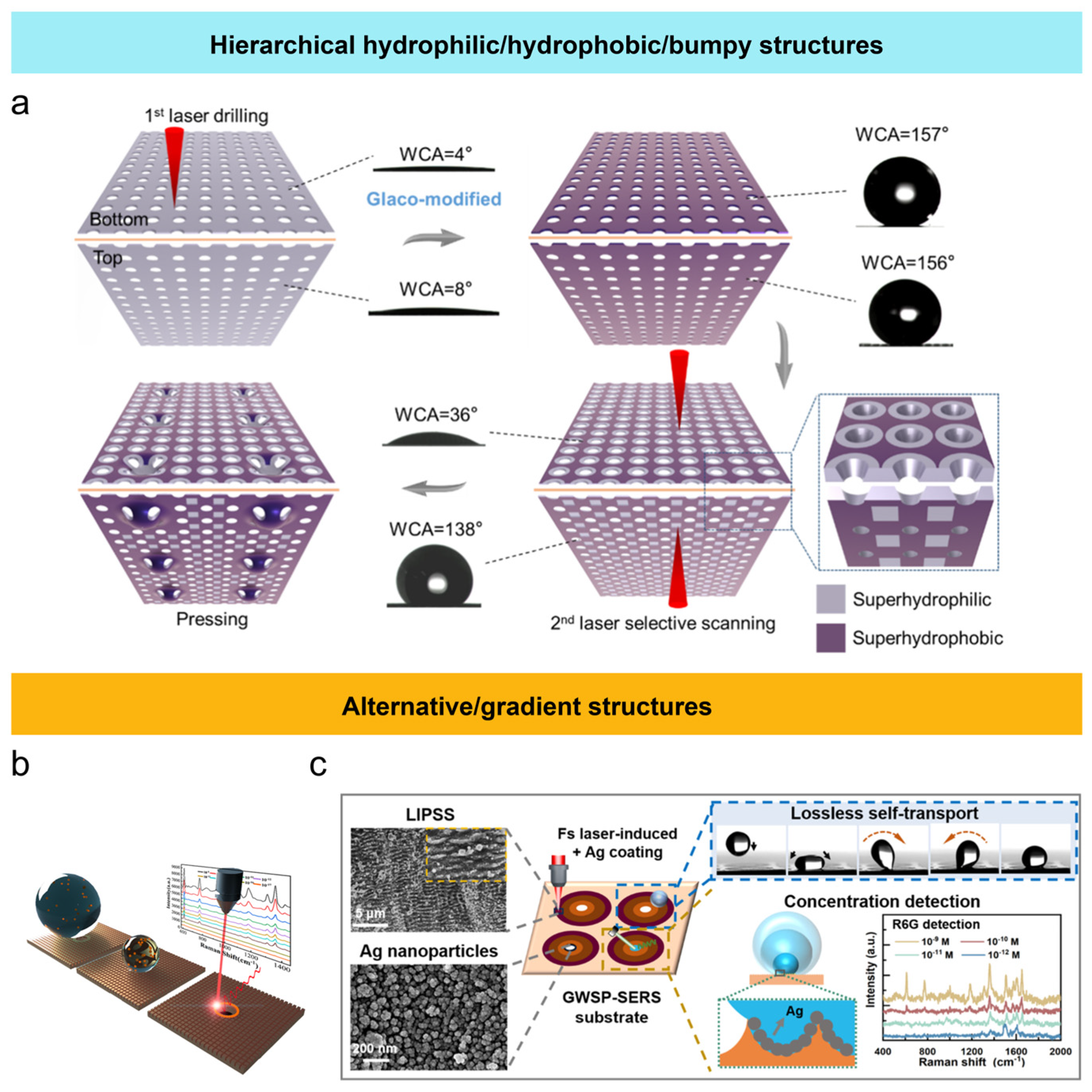 Nanomaterials 15 00573 g005