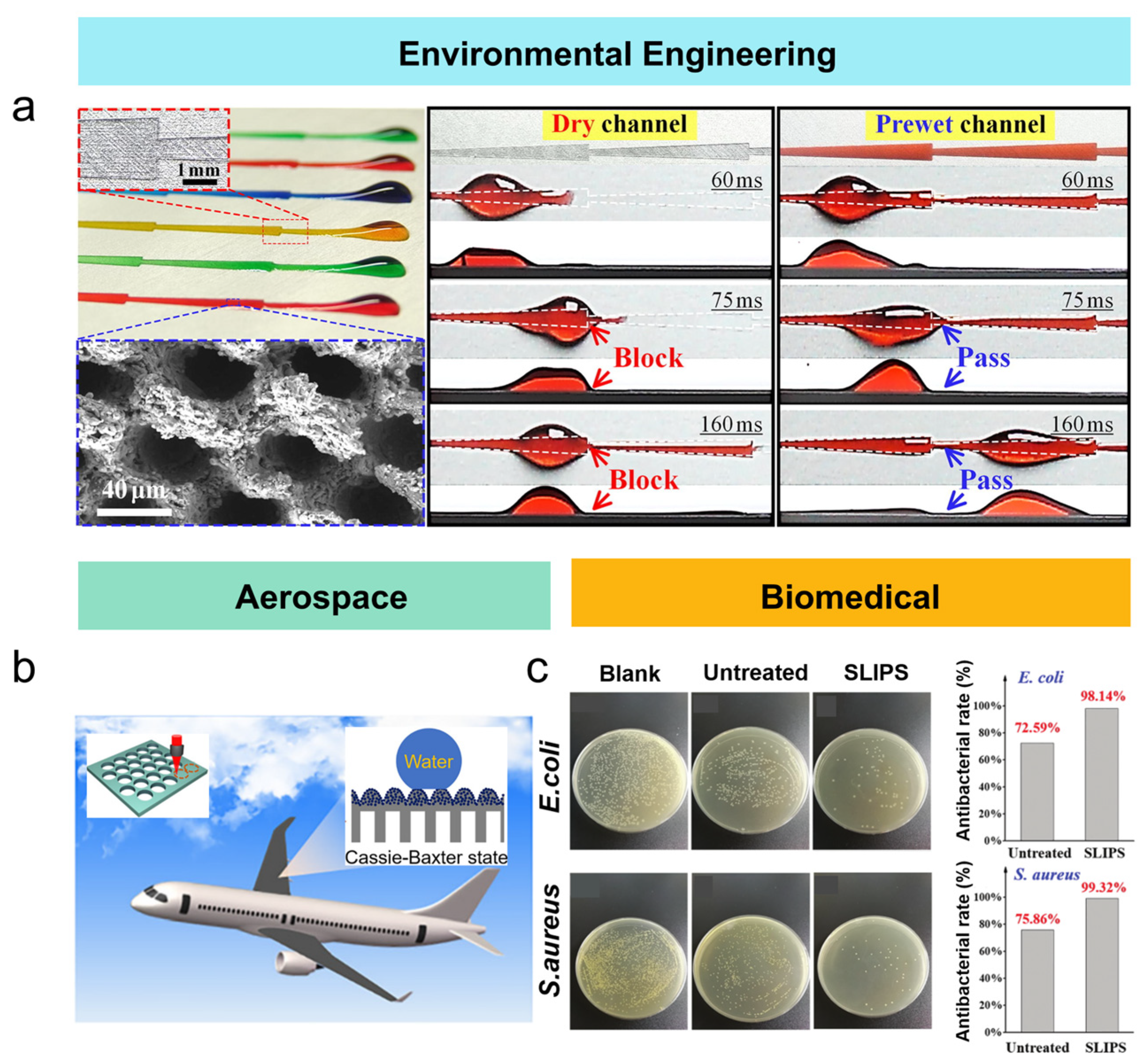 Nanomaterials 15 00573 g008