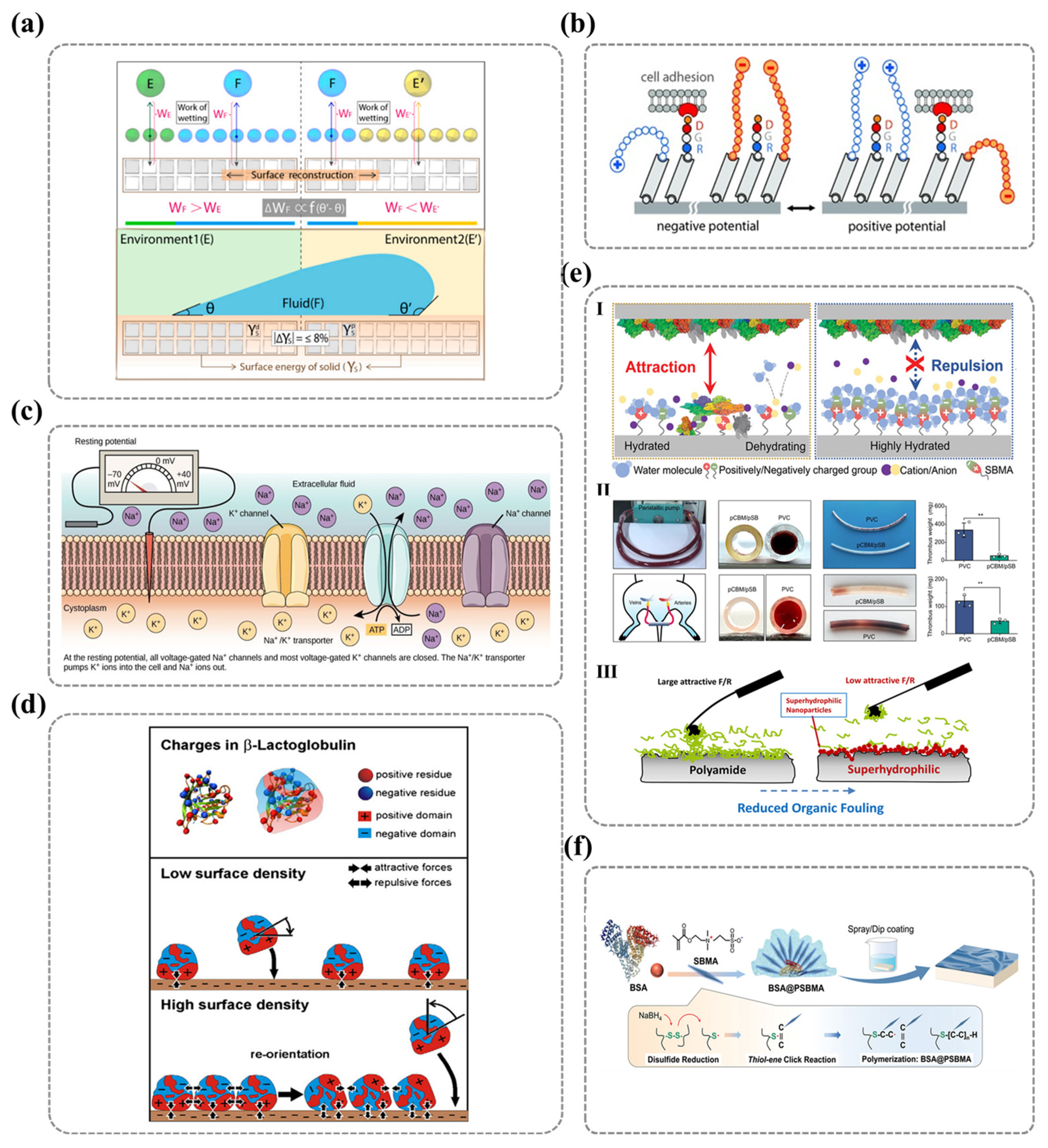 Nanomaterials 15 00591 g014 Nanomaterials 15 00591 g014