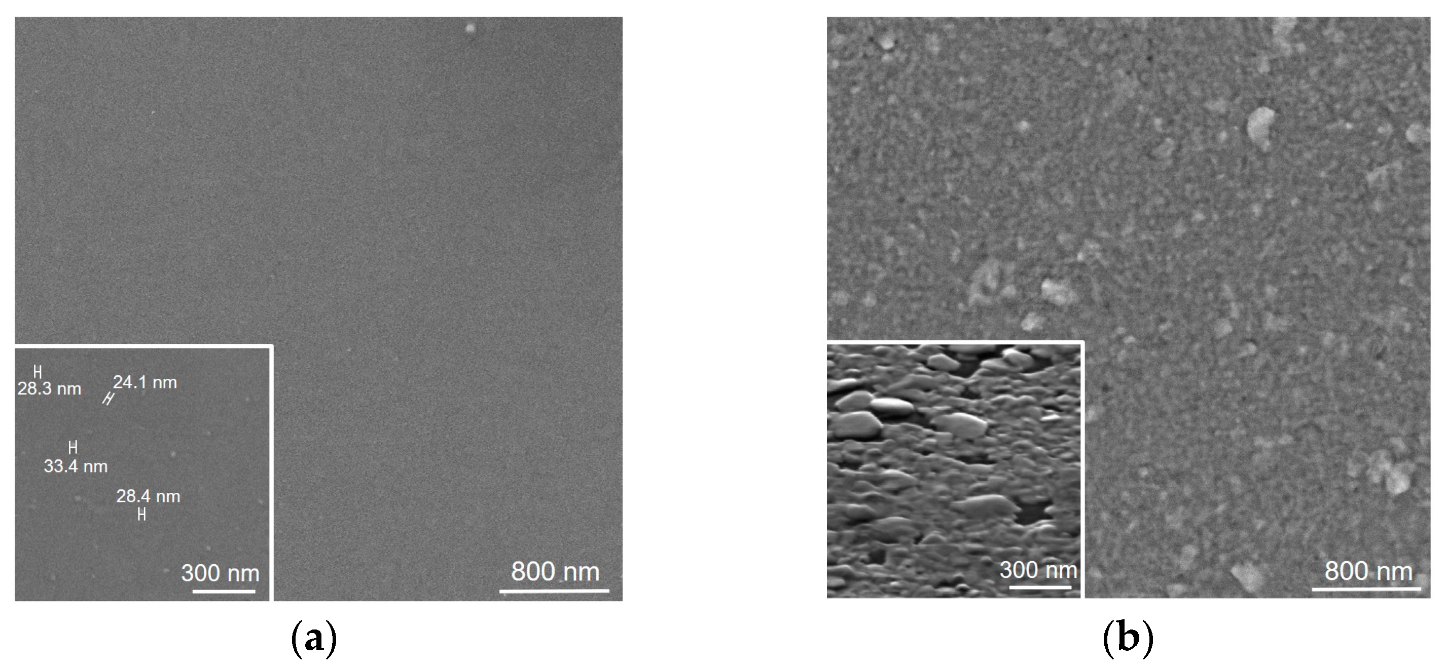 Nanomaterials 15 00594 g001