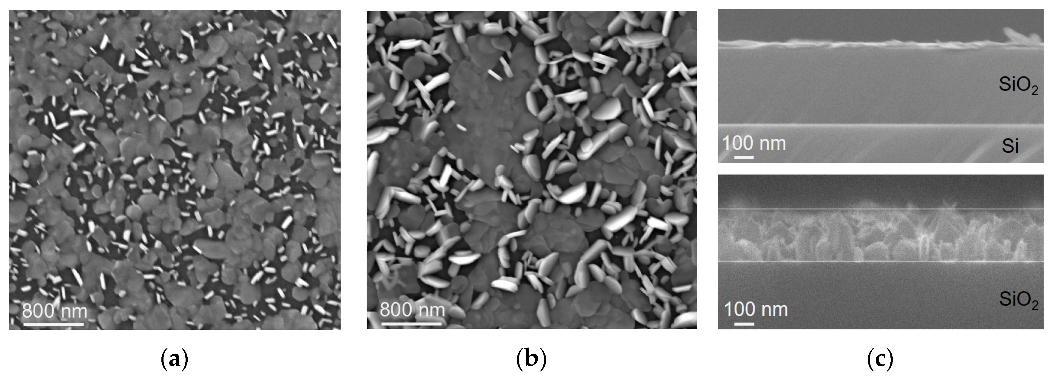 Nanomaterials 15 00594 g002