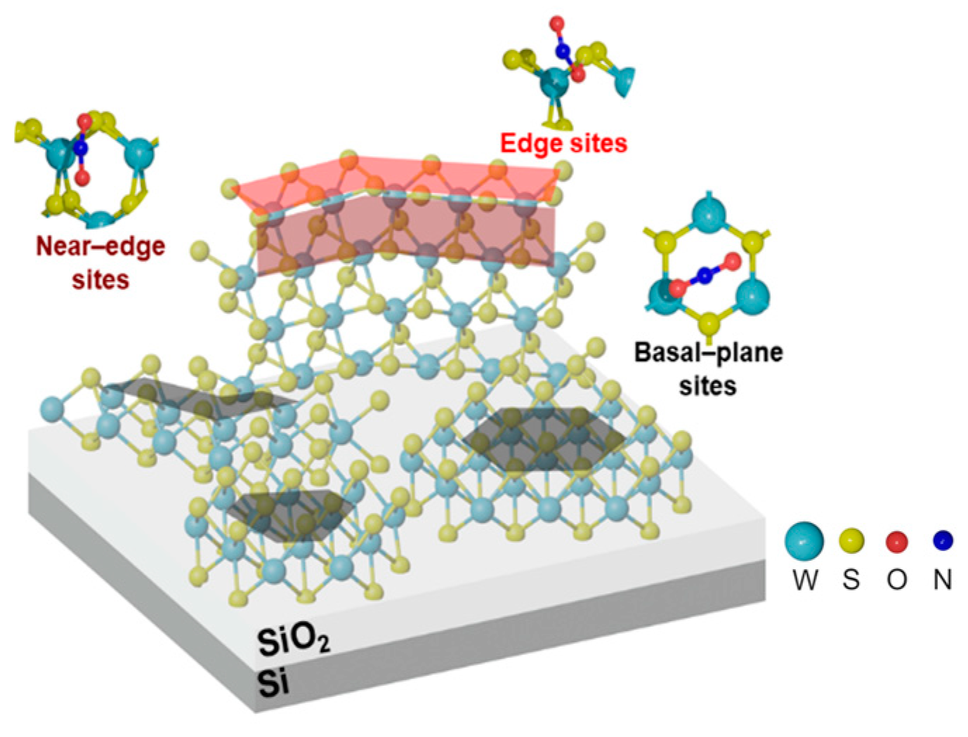 Nanomaterials 15 00594 g013