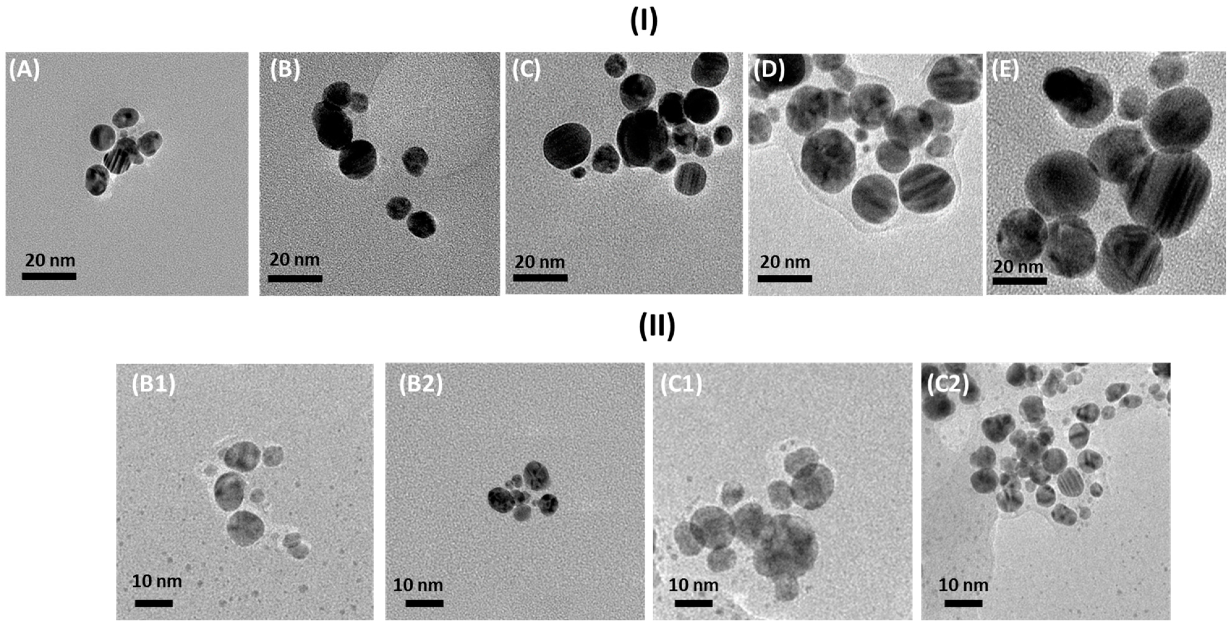 Nanomaterials 15 00595 g003