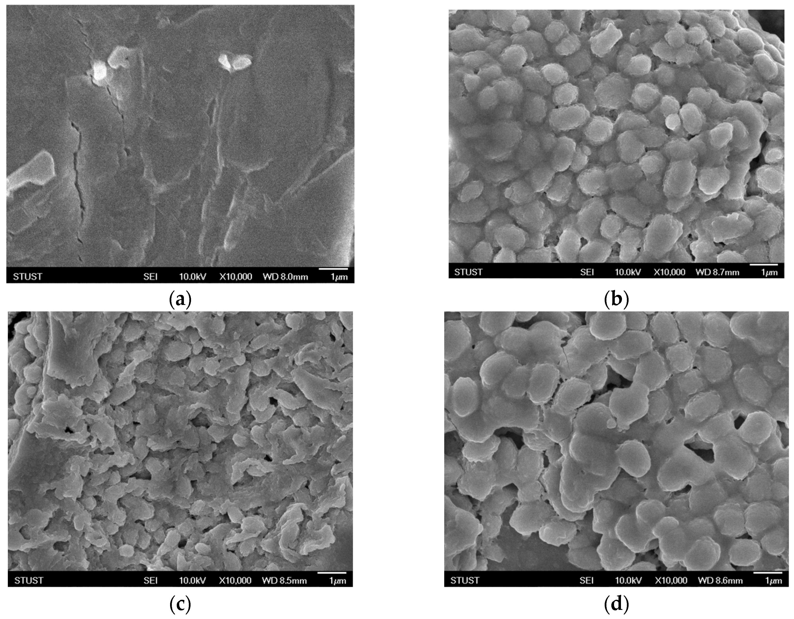 Nanomaterials 15 00602 g003