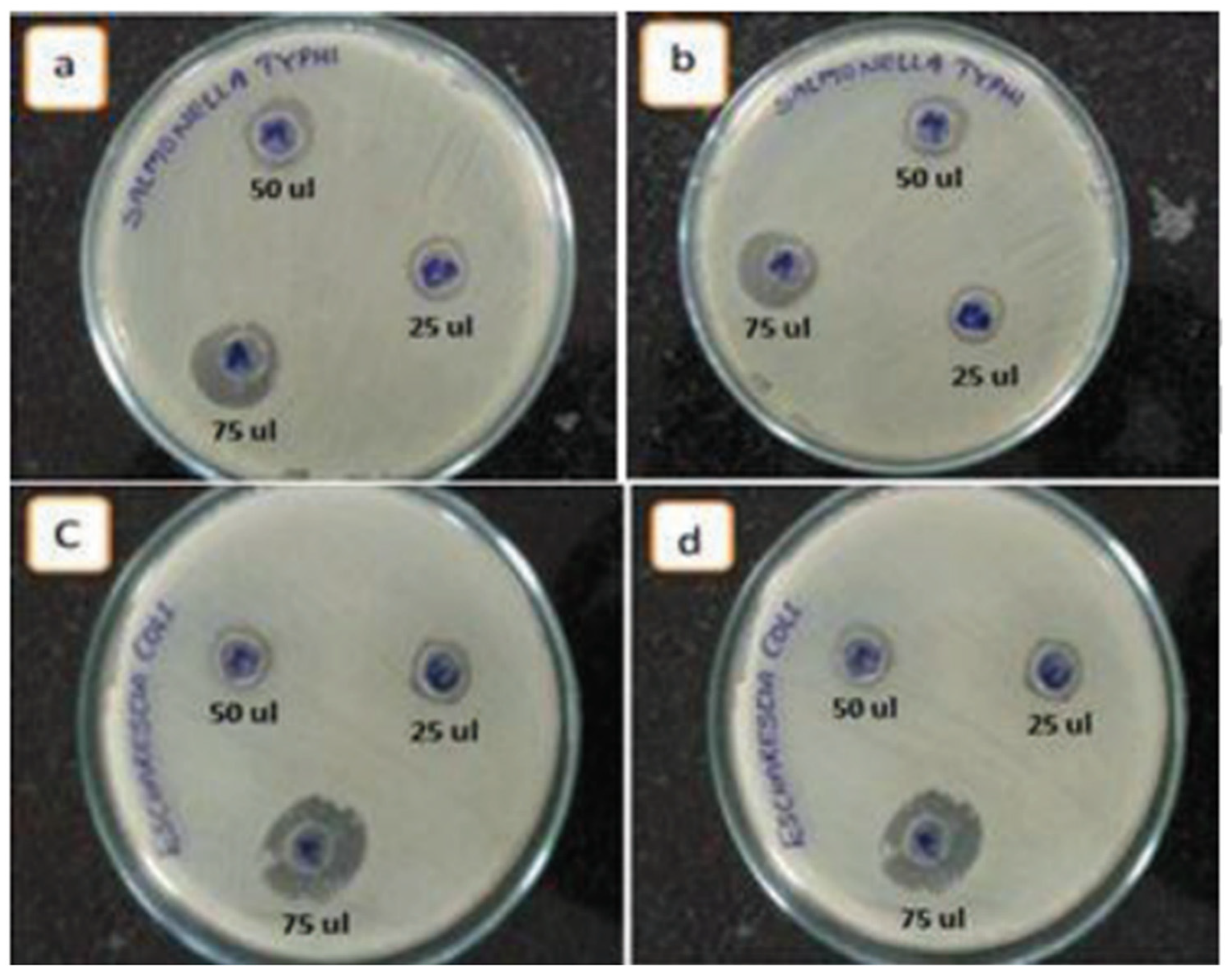 Nanomaterials 15 00609 g011