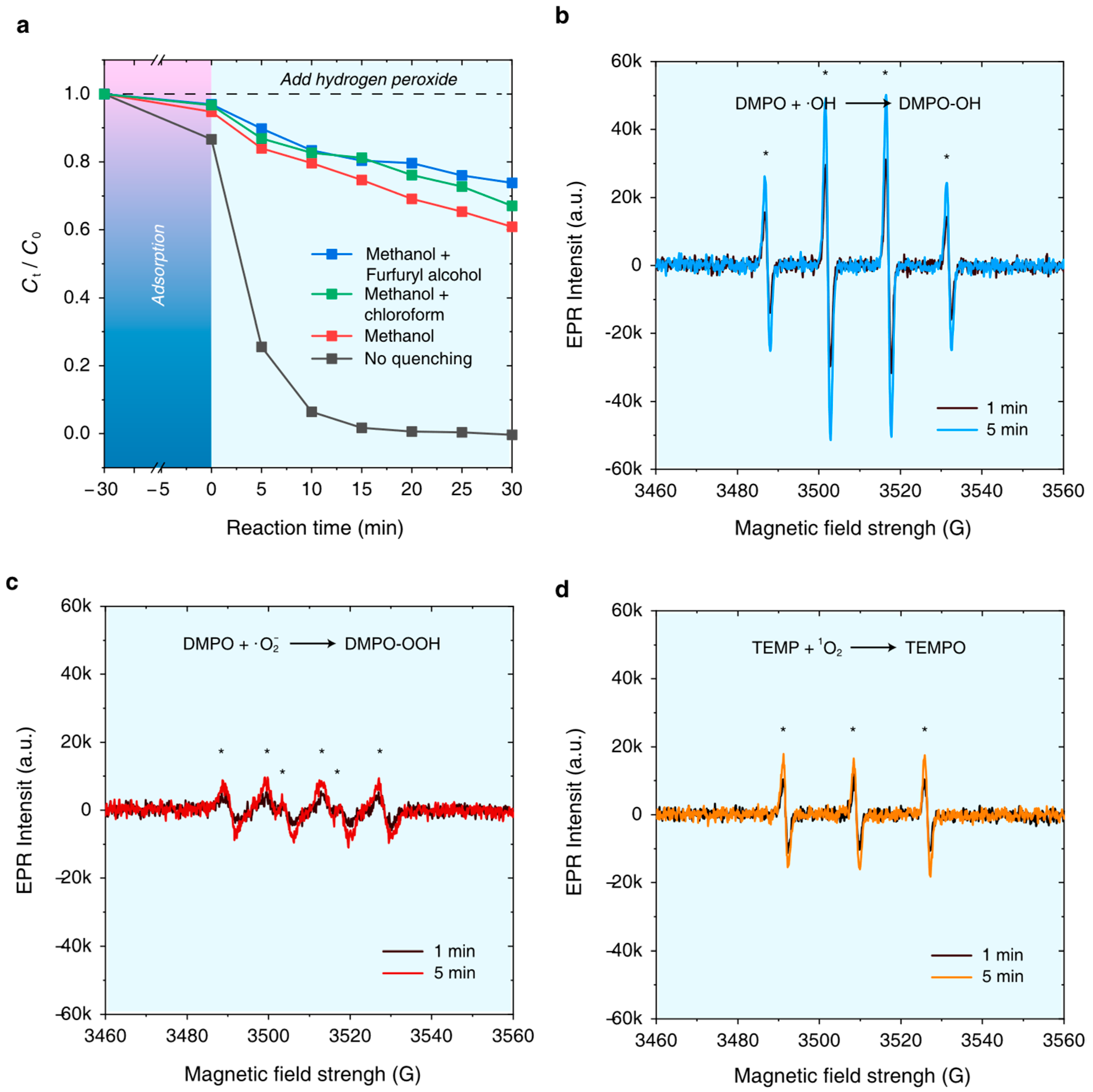 Nanomaterials 15 00614 g008