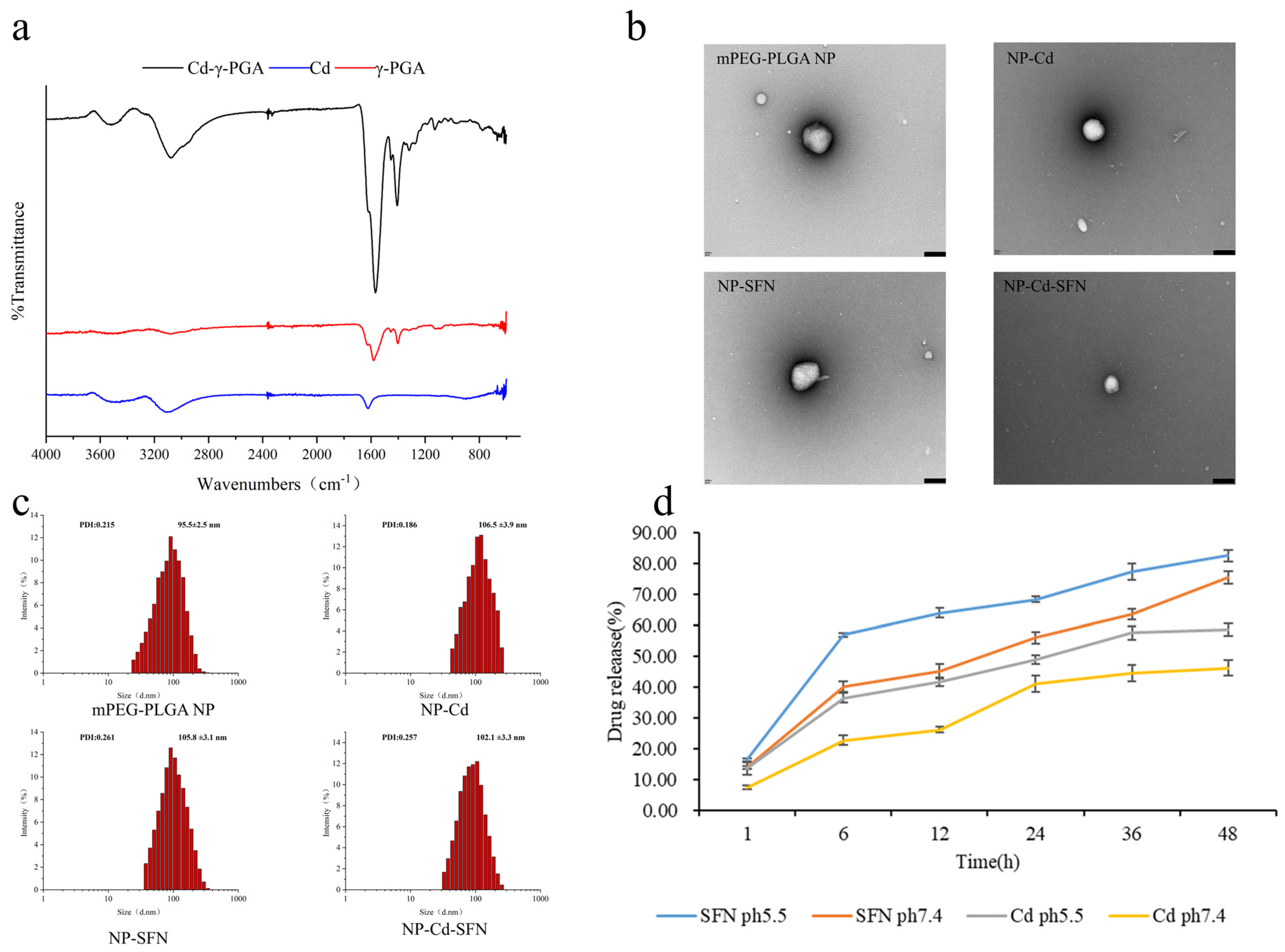 Nanomaterials 15 00615 g001