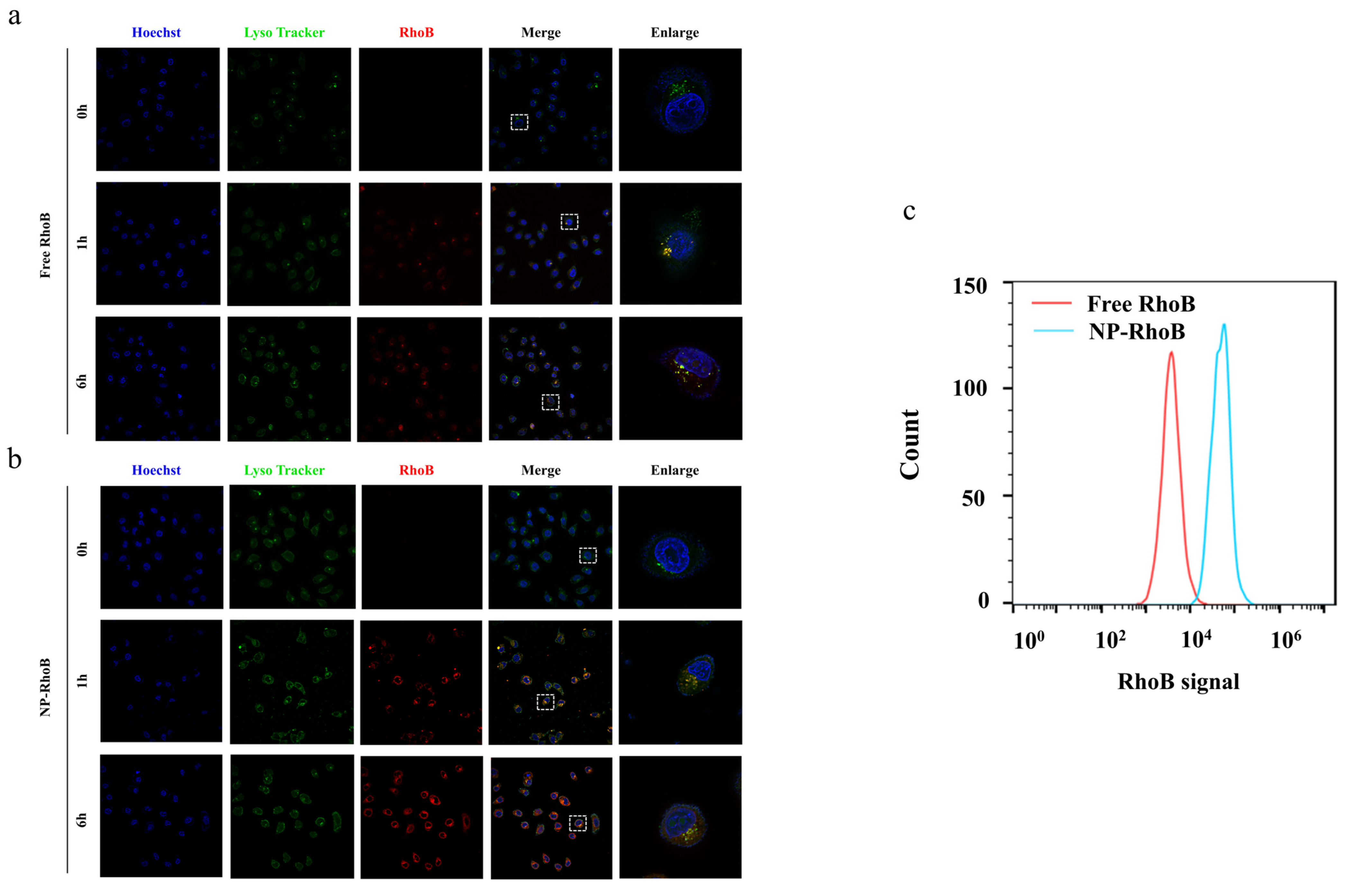 Nanomaterials 15 00615 g003