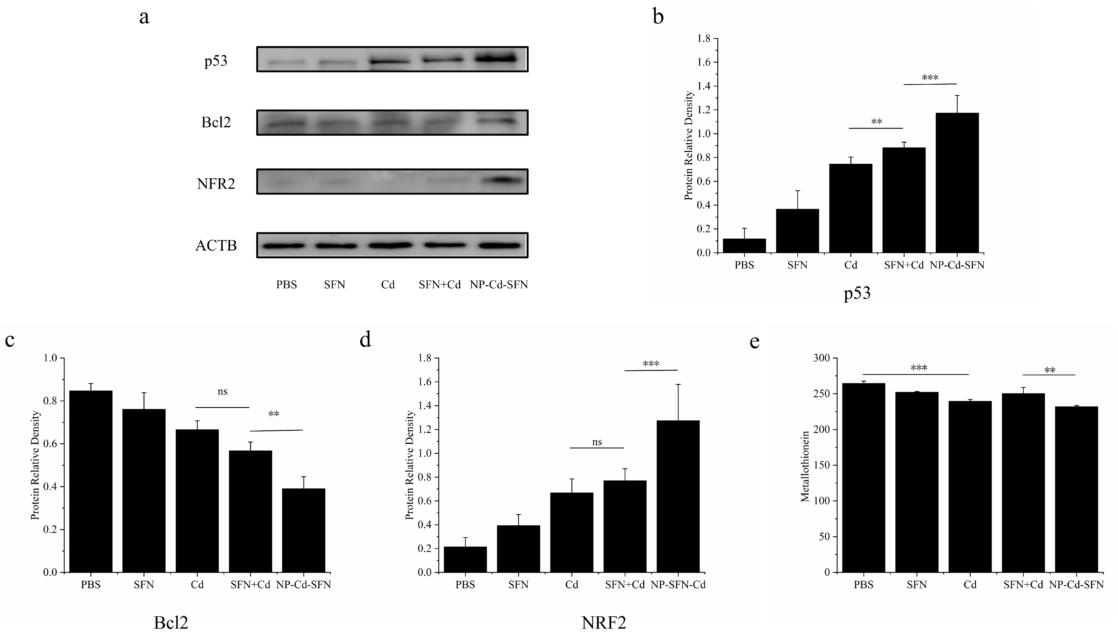 Nanomaterials 15 00615 g006