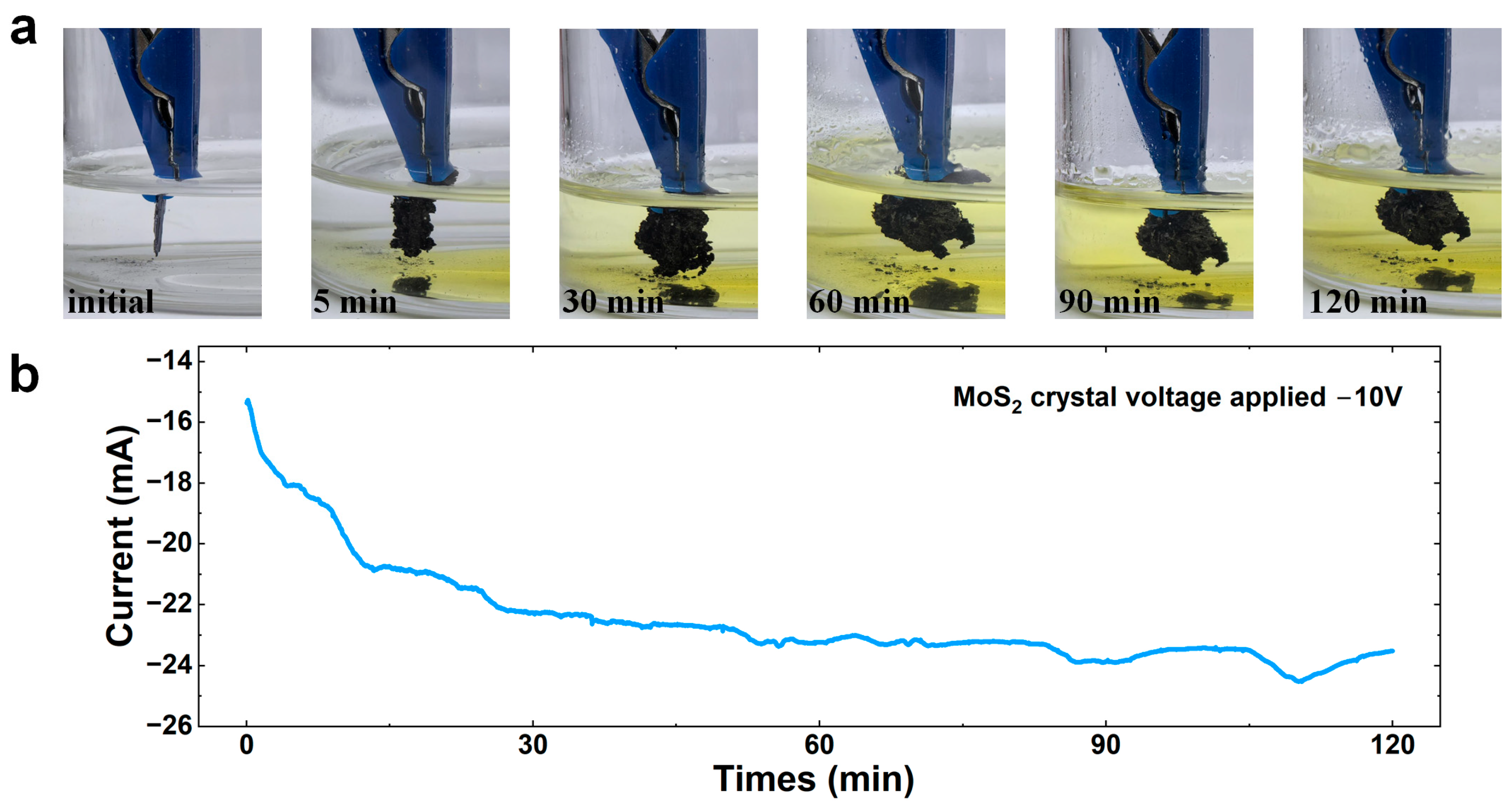 Nanomaterials 15 00622 g001