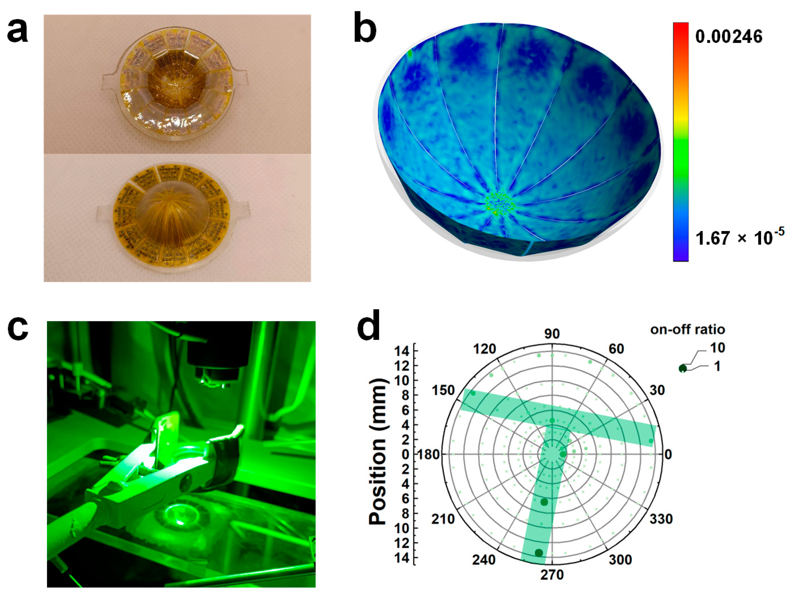 Nanomaterials 15 00622 g005