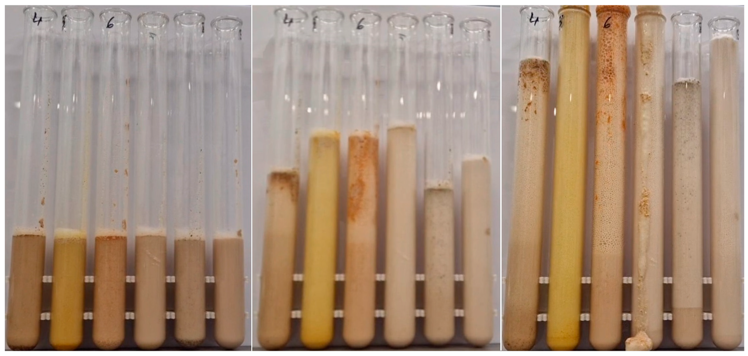 Nanomaterials 15 00625 g004
