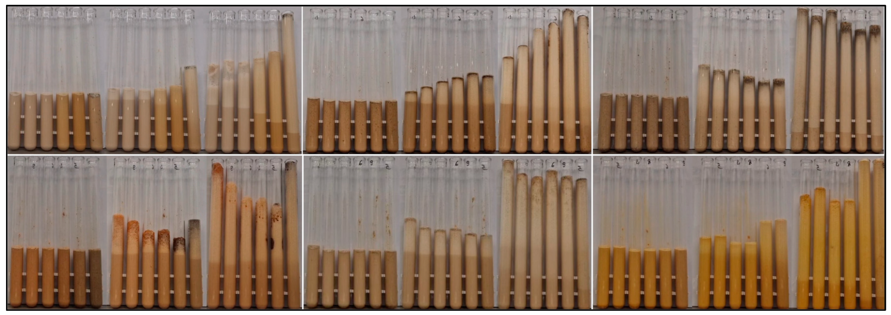 Nanomaterials 15 00625 g007