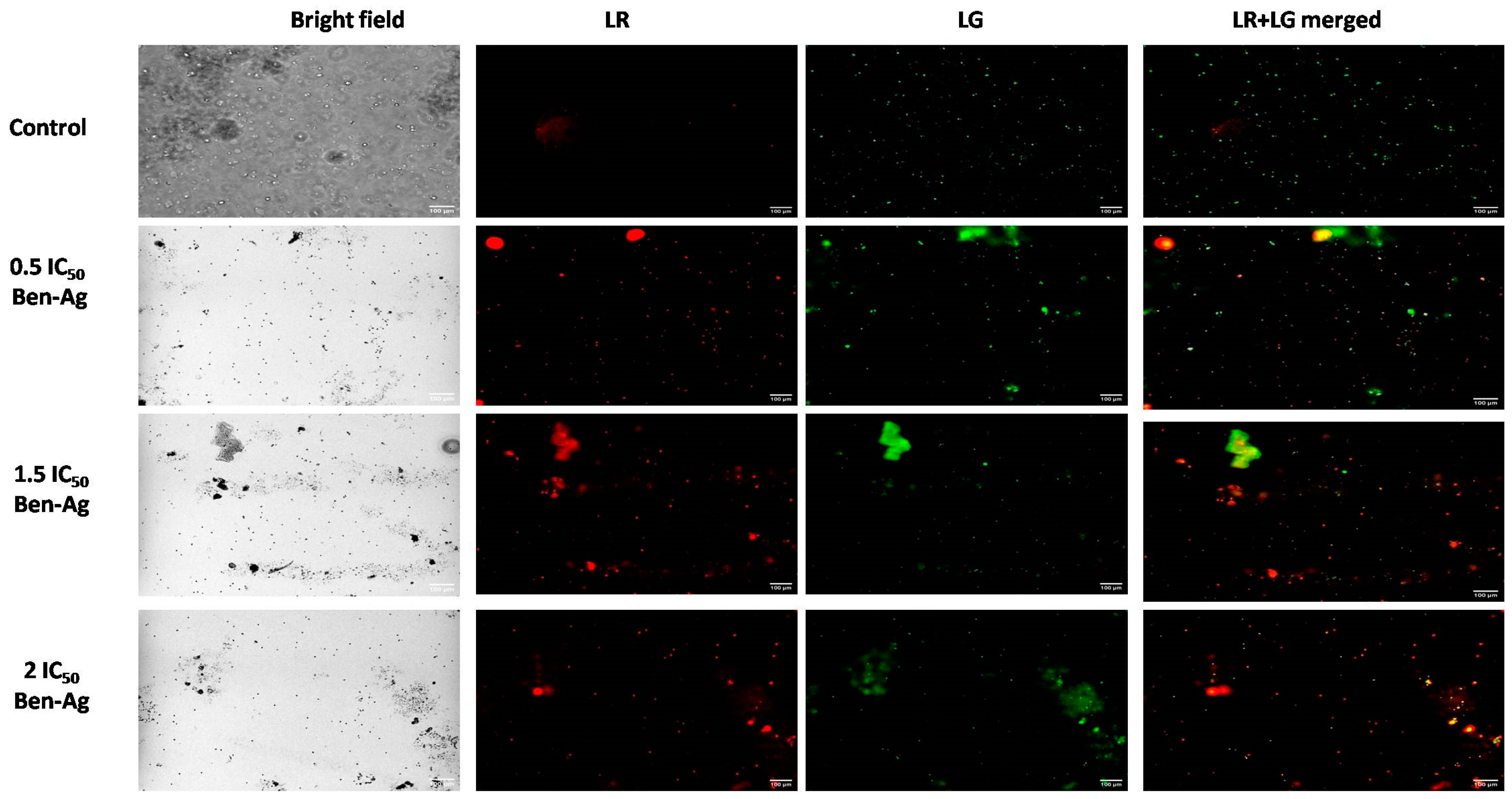 Nanomaterials 15 00629 g011