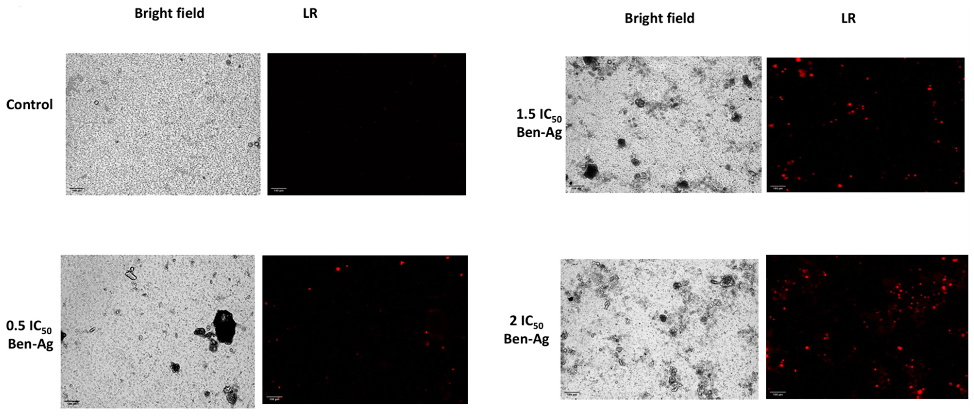 Nanomaterials 15 00629 g012