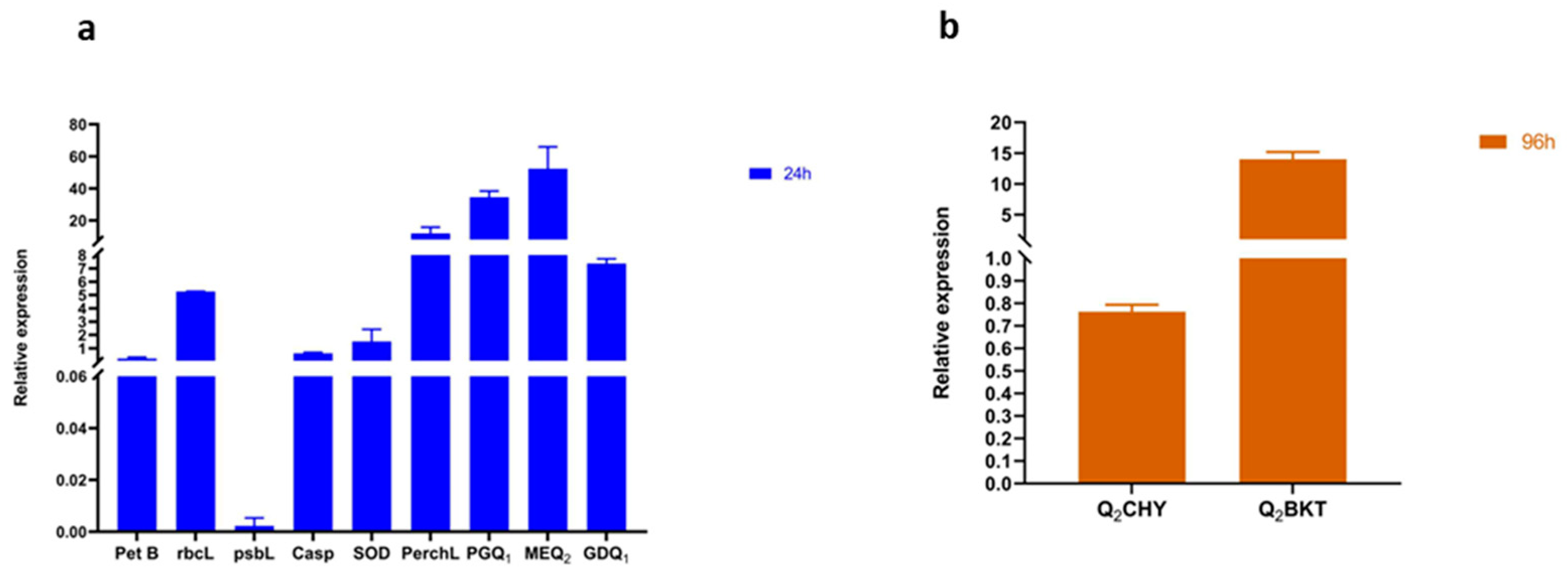 Nanomaterials 15 00629 g014