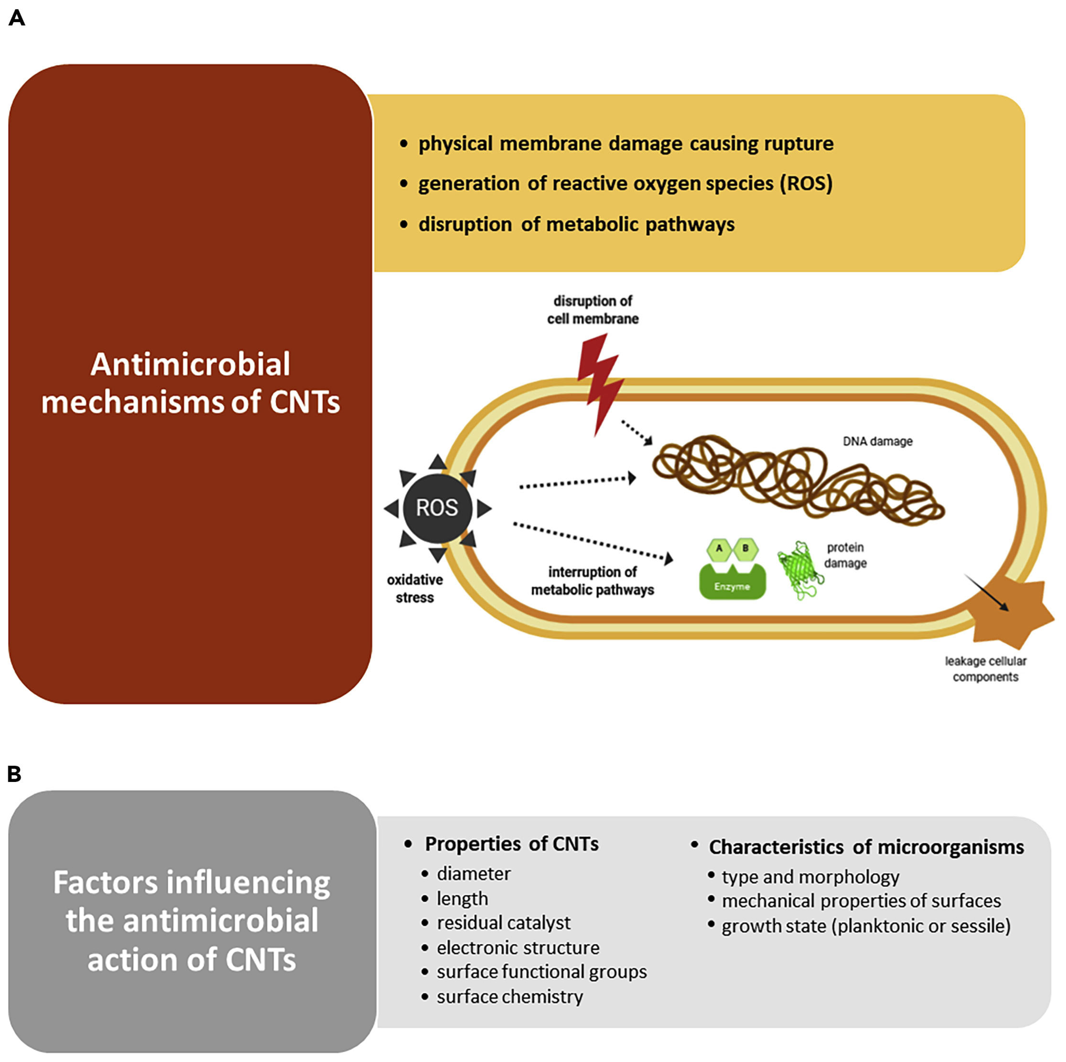 Nanomaterials 15 00633 g005 Nanomaterials 15 00633 g005