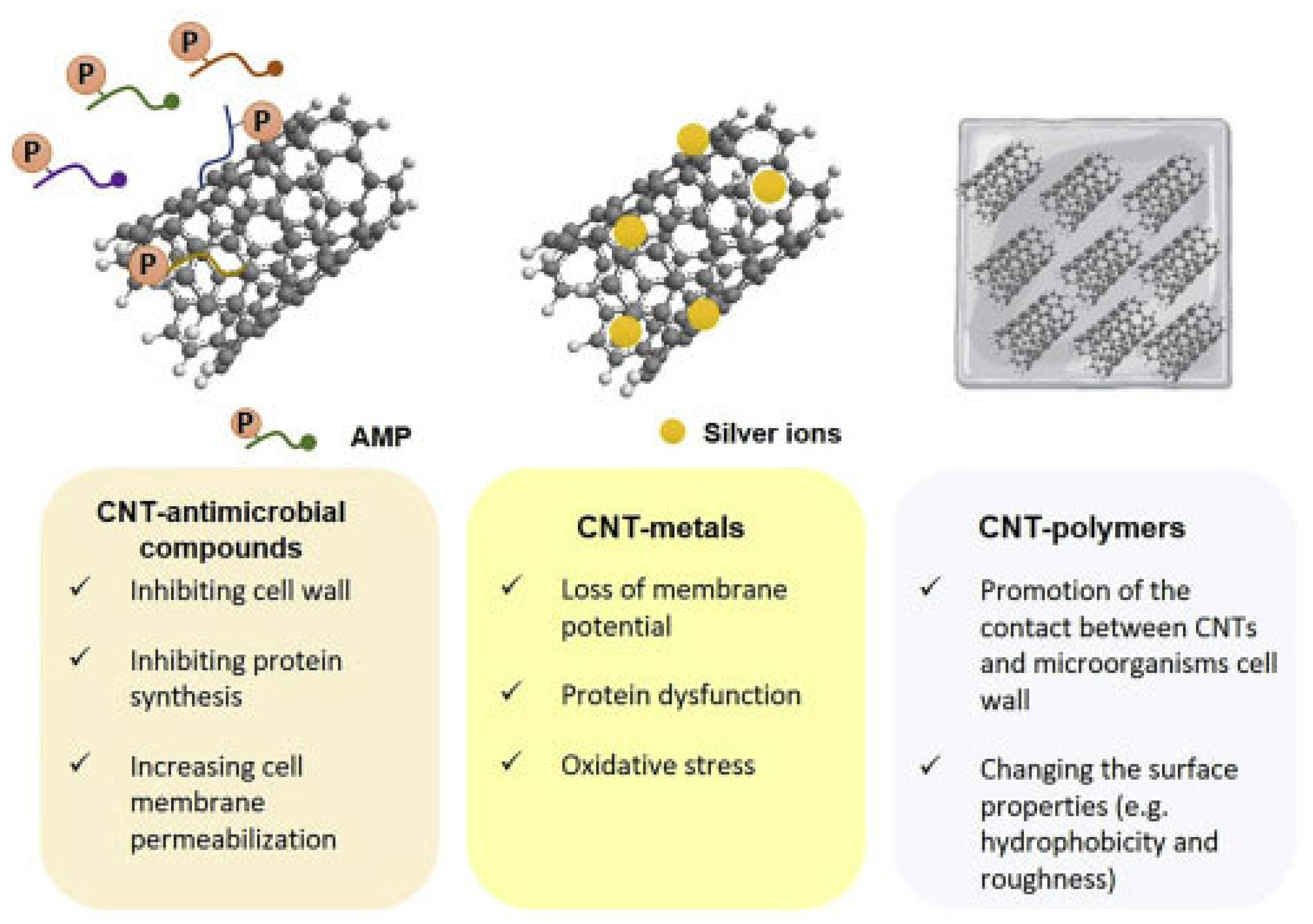 Nanomaterials 15 00633 g006 Nanomaterials 15 00633 g006