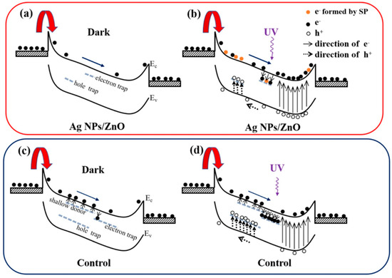 Progress in UV Photodetectors Based on ZnO Nanomaterials: A Review of ...