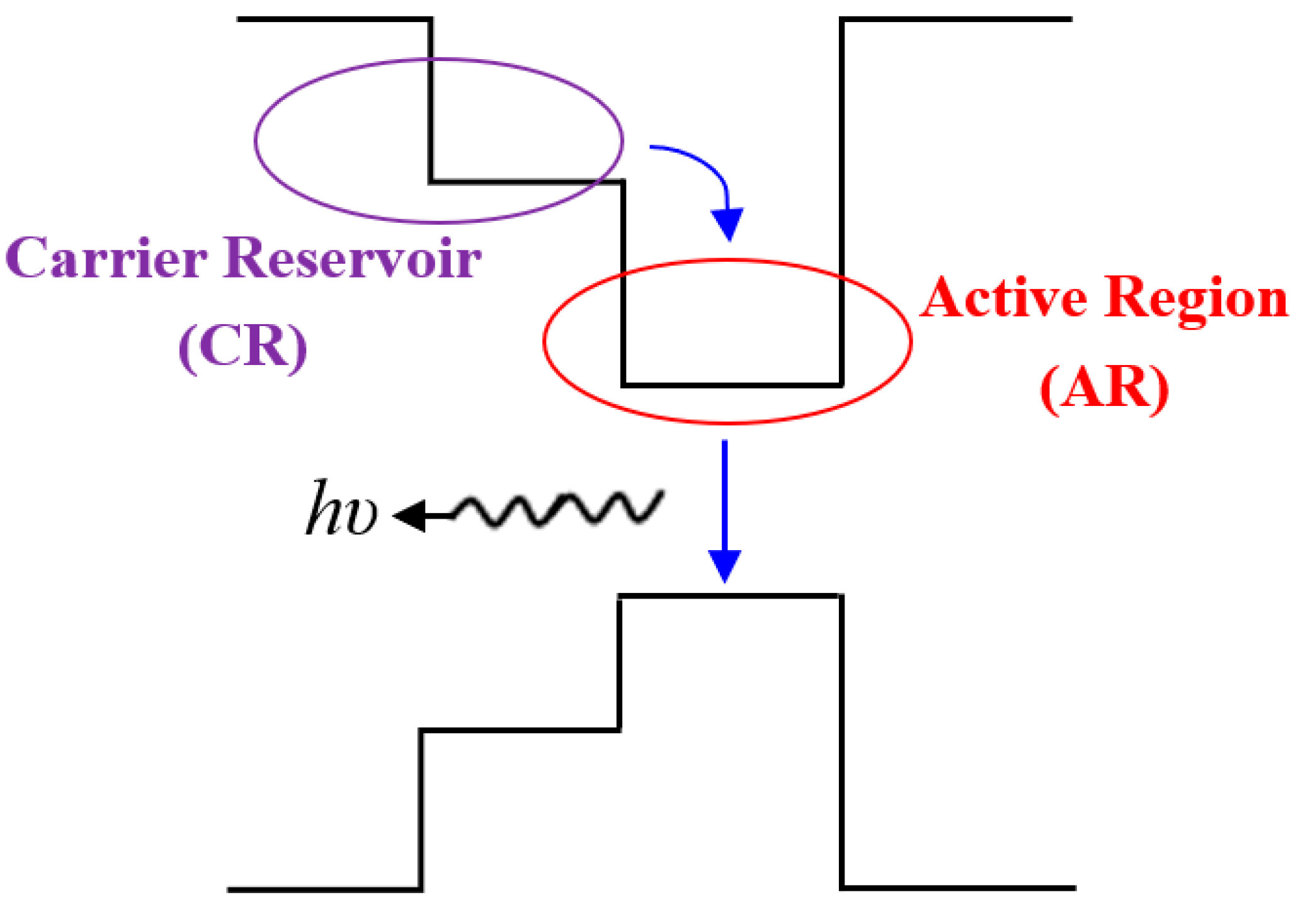 Nanomaterials 15 00647 g001