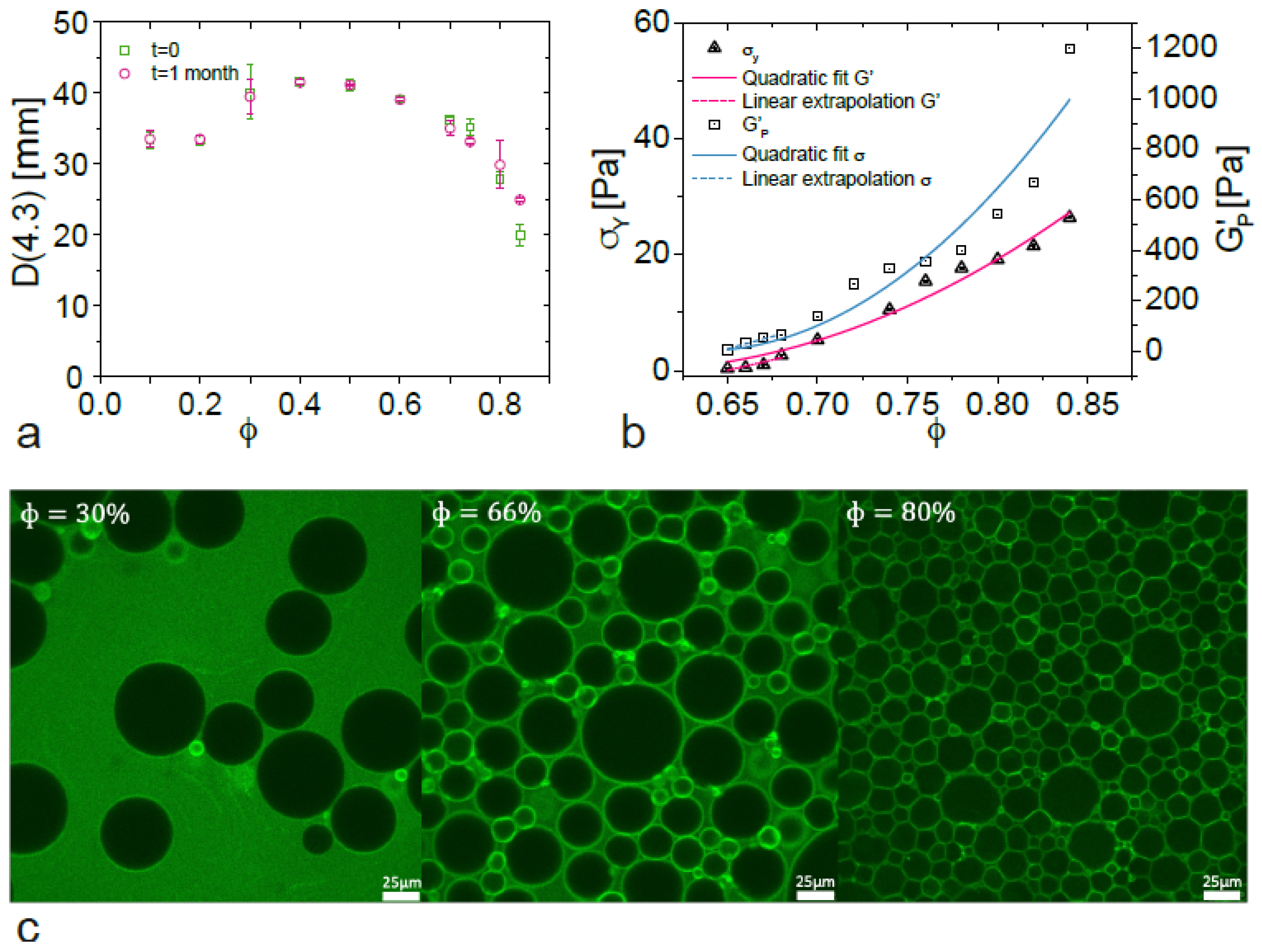 Nanomaterials 15 00650 g001
