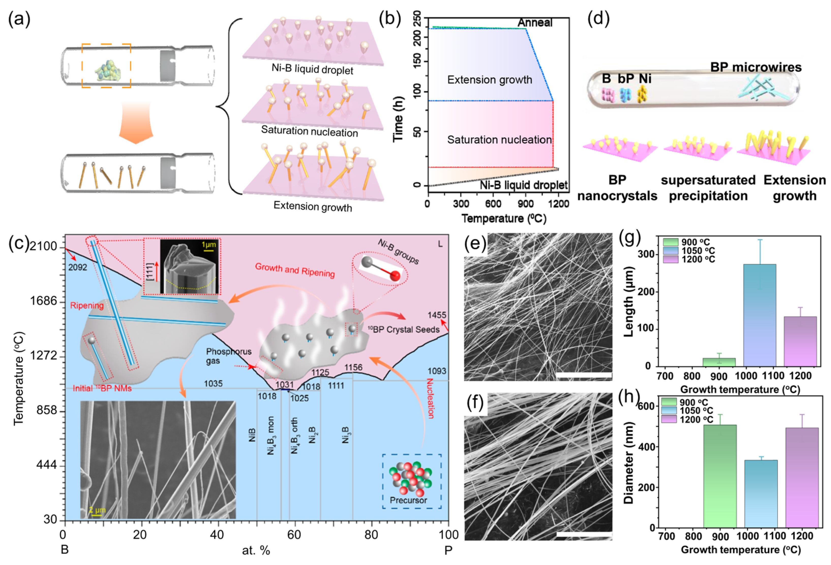 Nanomaterials 15 00654 g007 Nanomaterials 15 00654 g007