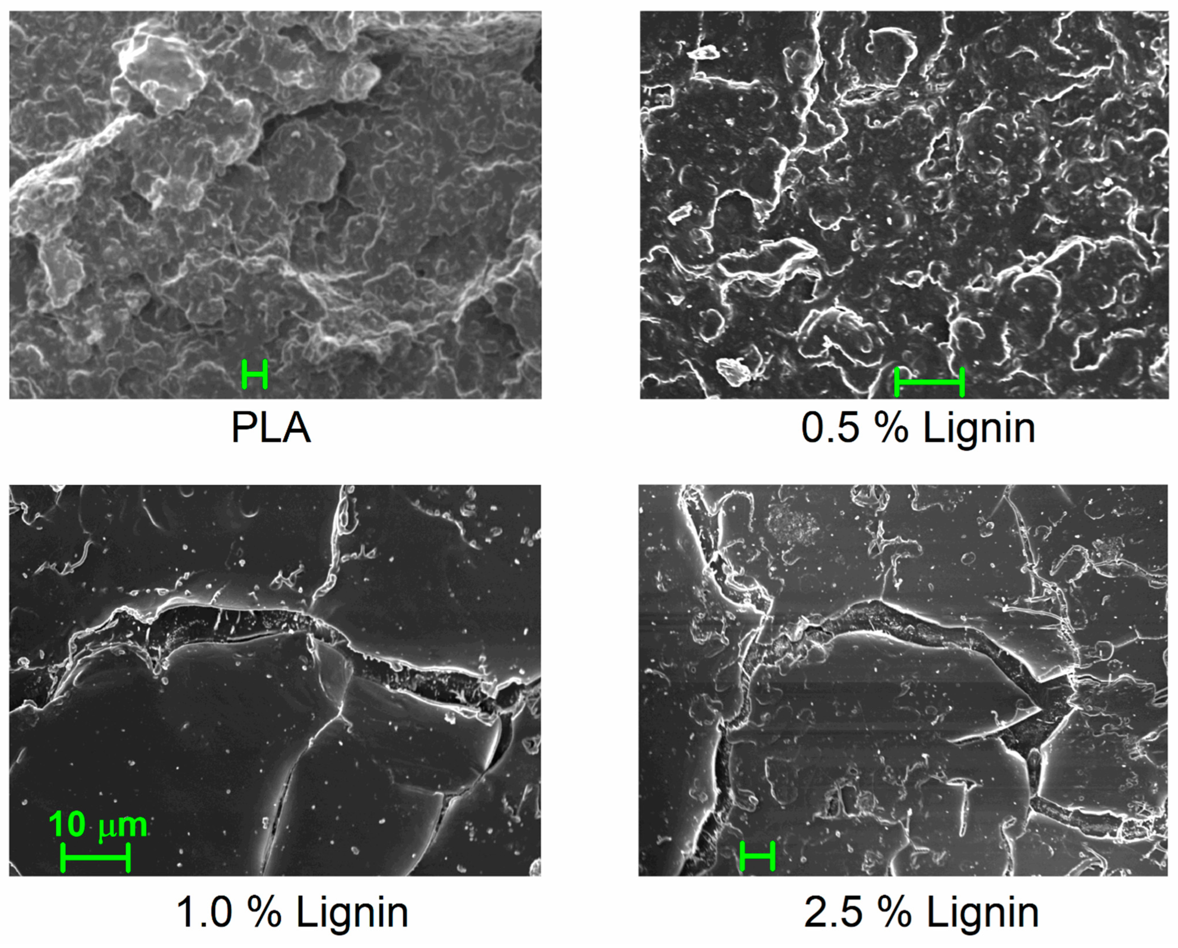 Nanomaterials 15 00660 g001