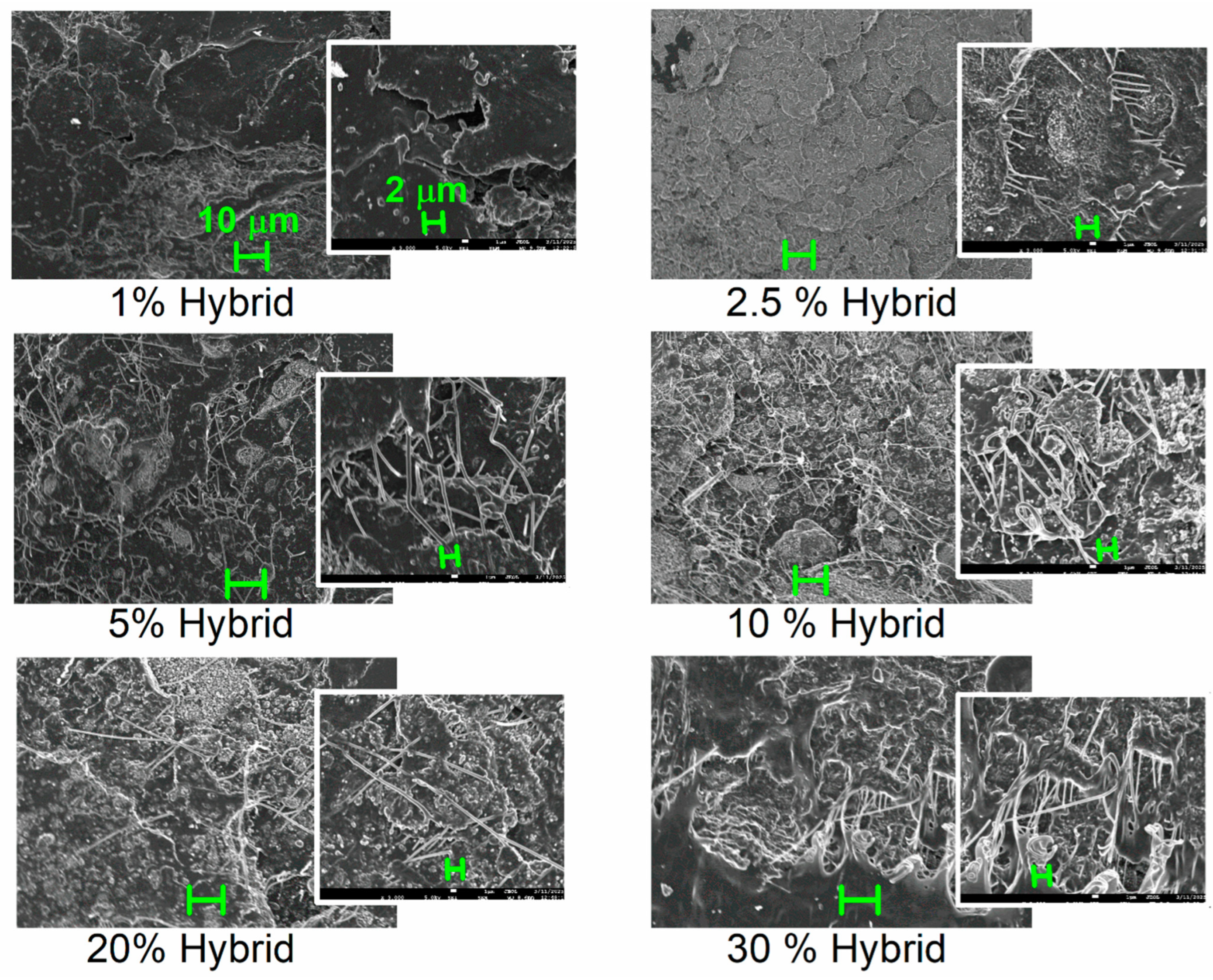 Nanomaterials 15 00660 g002