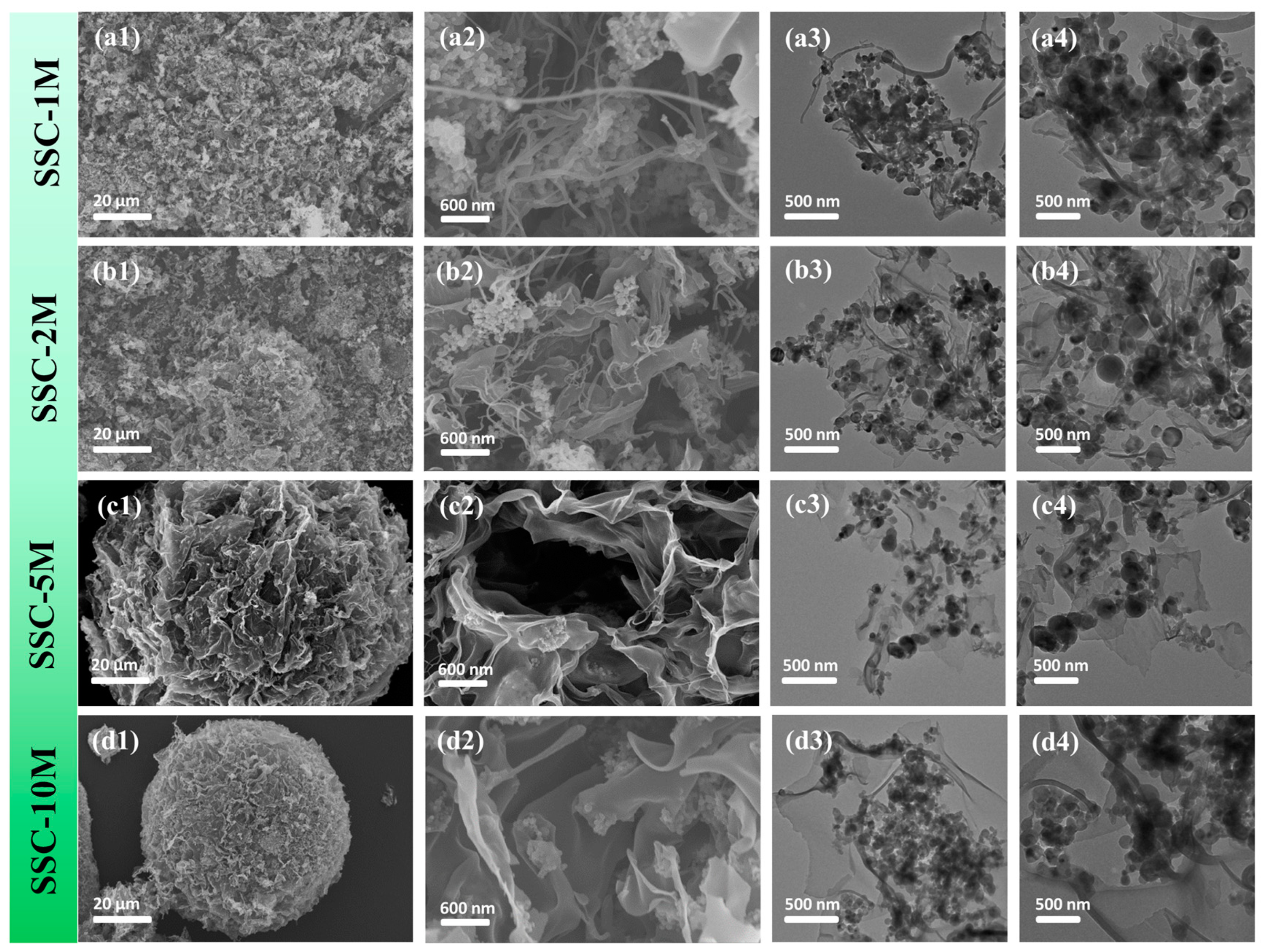 Nanomaterials 15 00661 g002