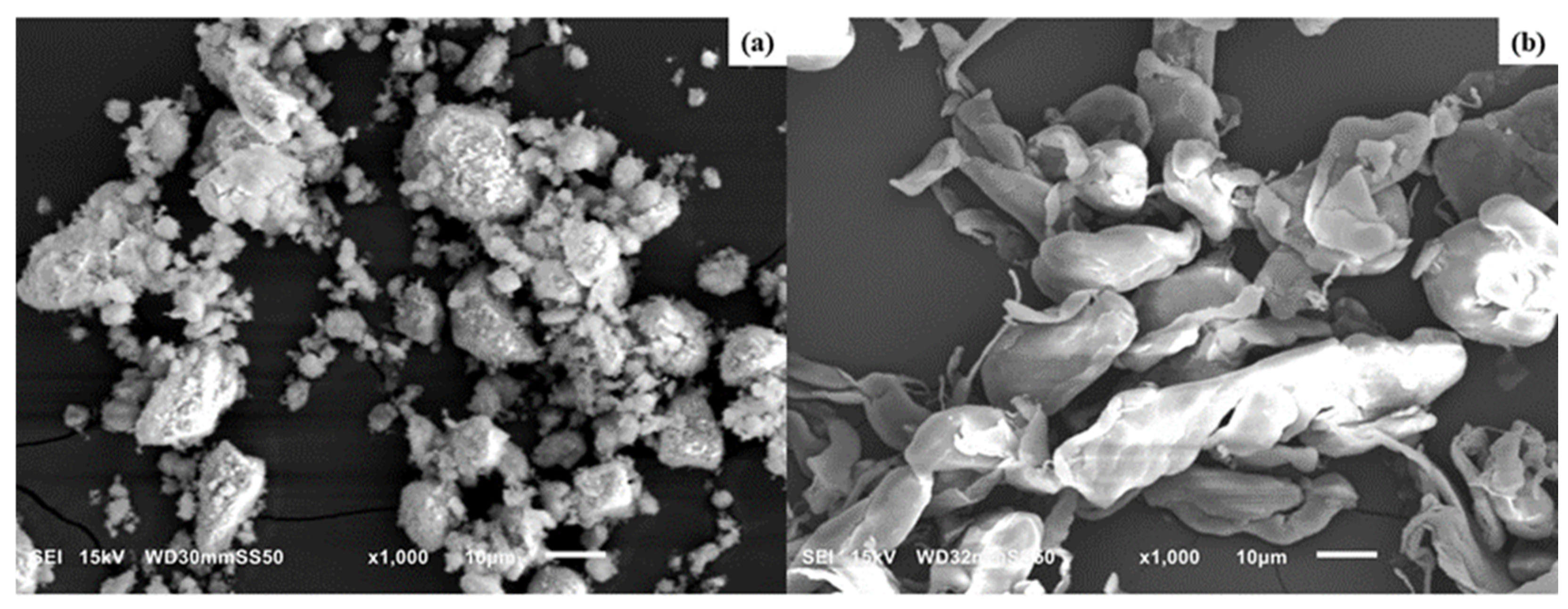 Nanomaterials 15 00667 g001