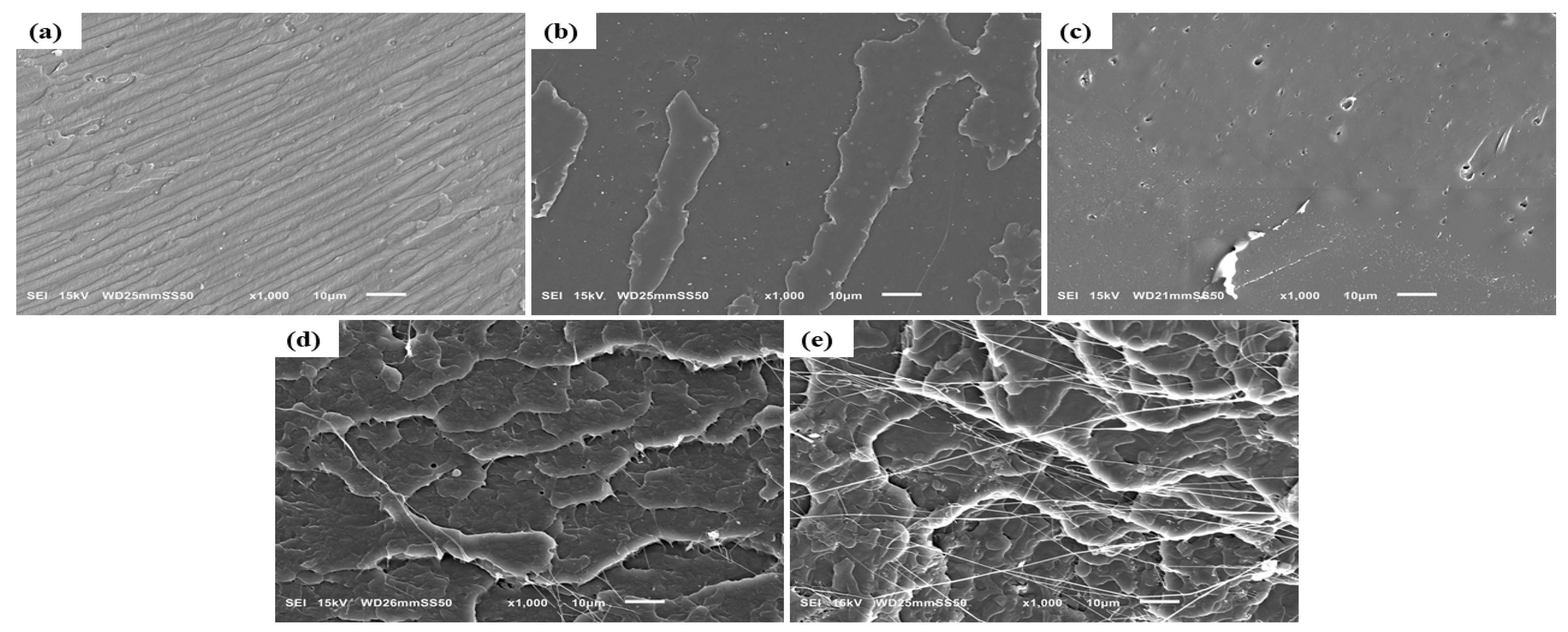 Nanomaterials 15 00667 g002