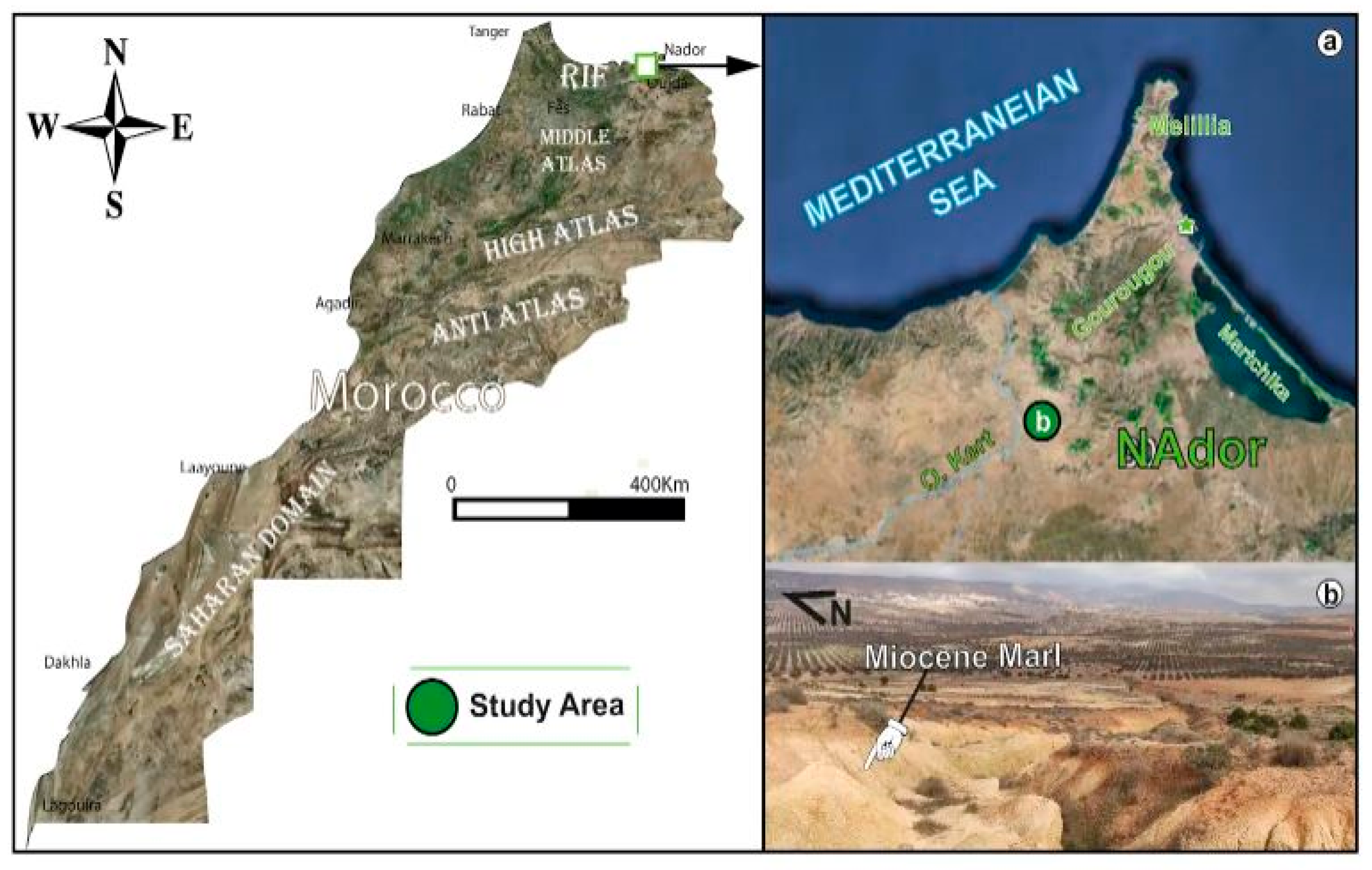 Nanomaterials 15 00668 g001