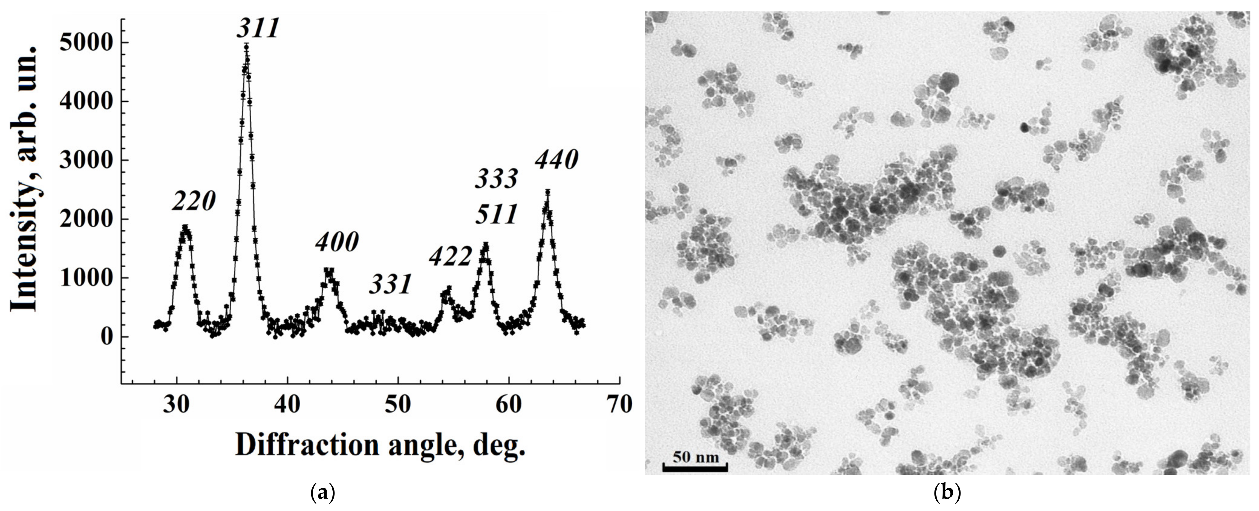 Nanomaterials 15 00675 g001