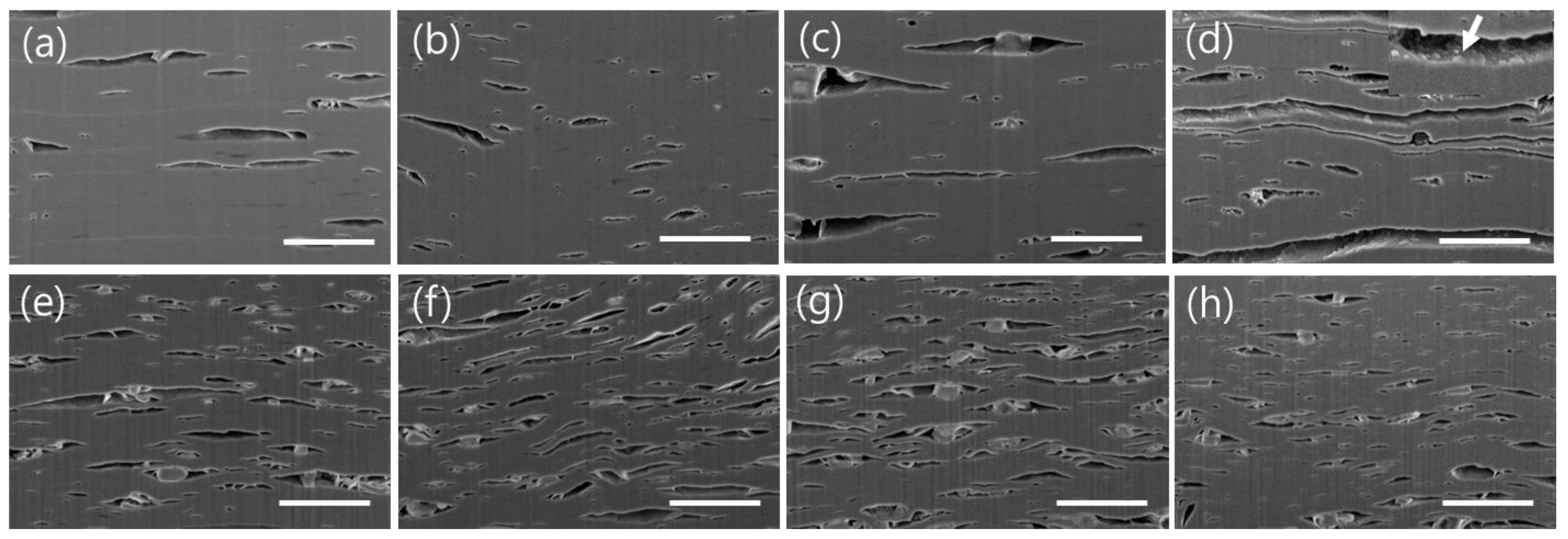 Nanomaterials 15 00676 g003