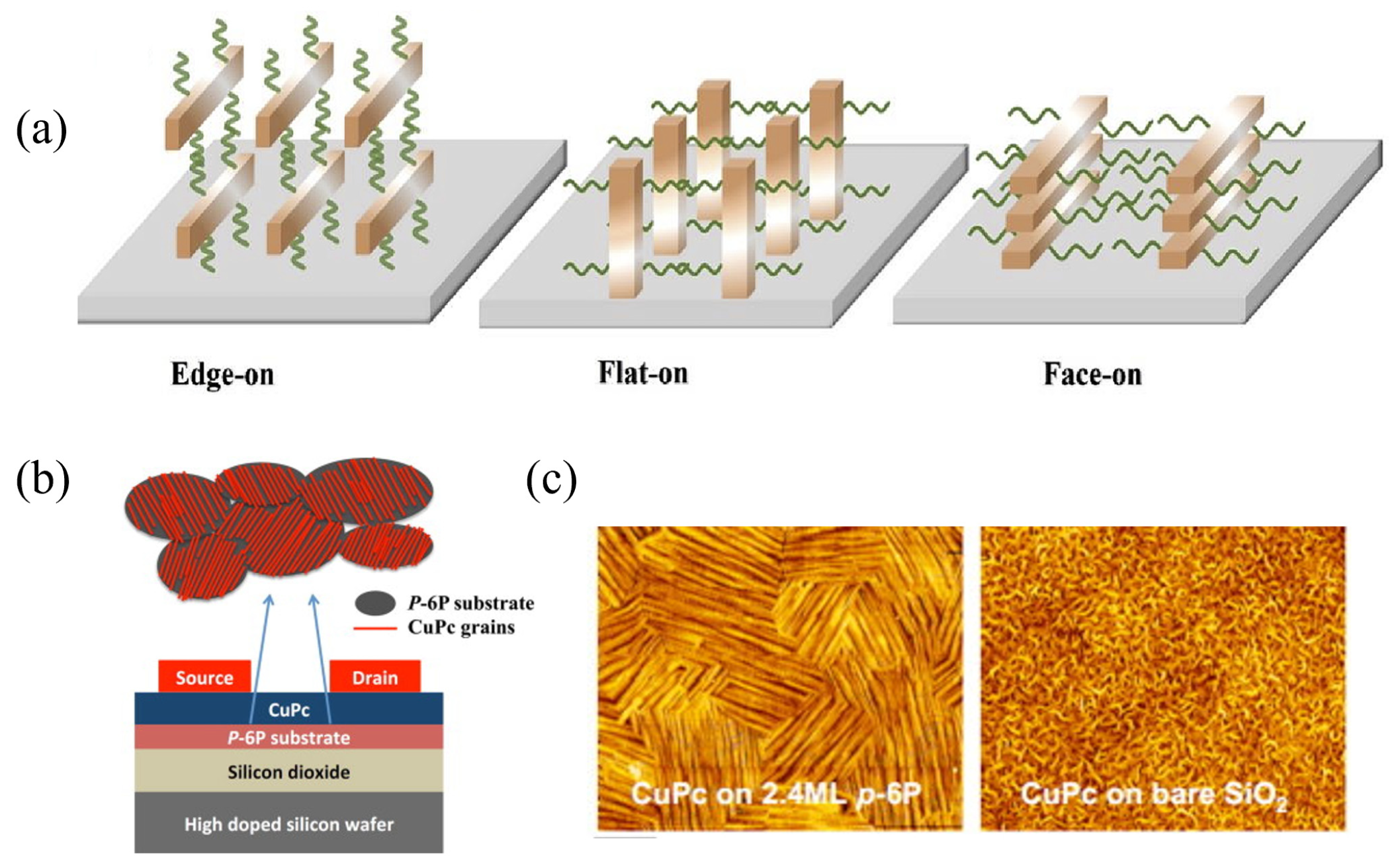 Nanomaterials 15 00680 g004