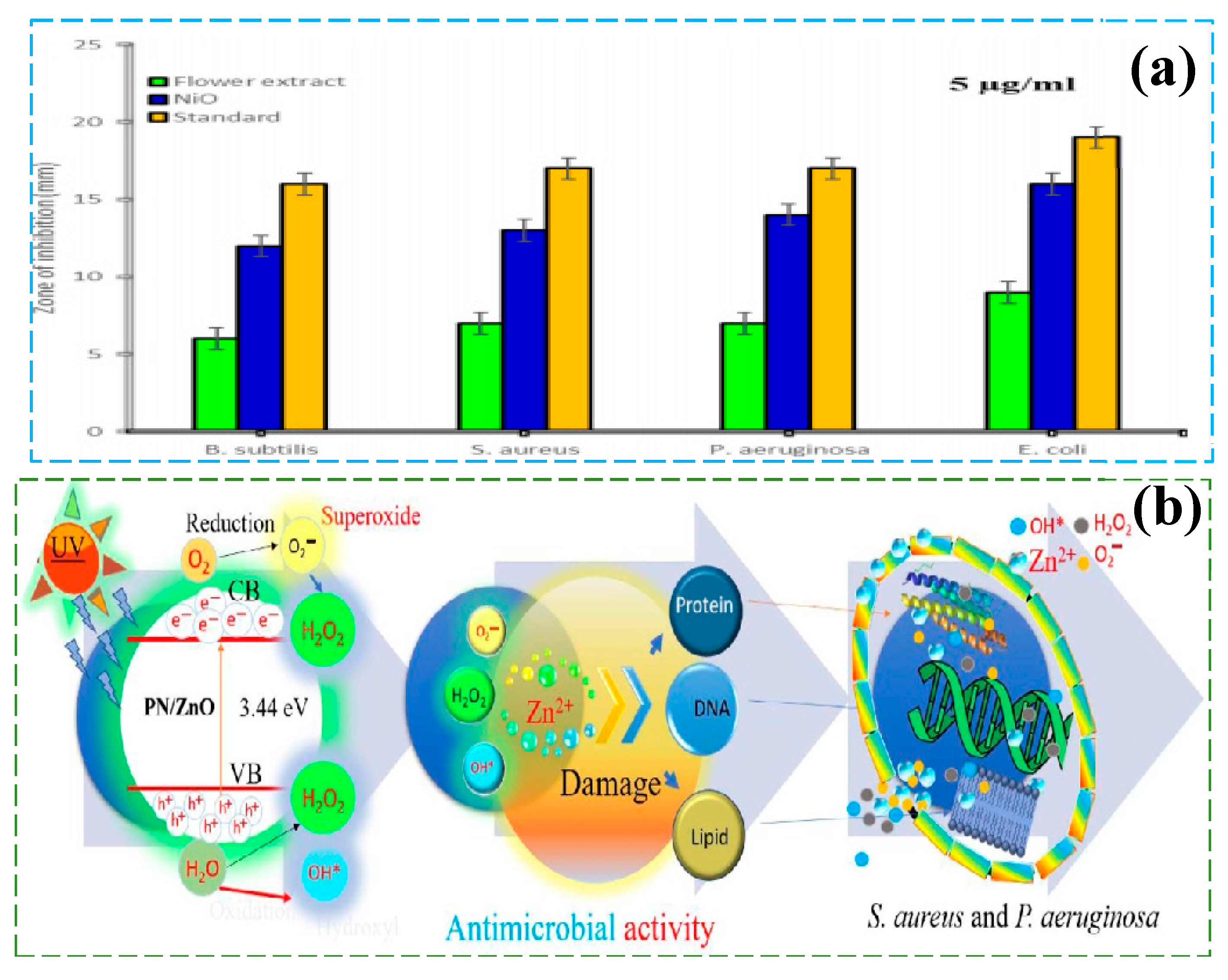 Nanomaterials 15 00681 g014