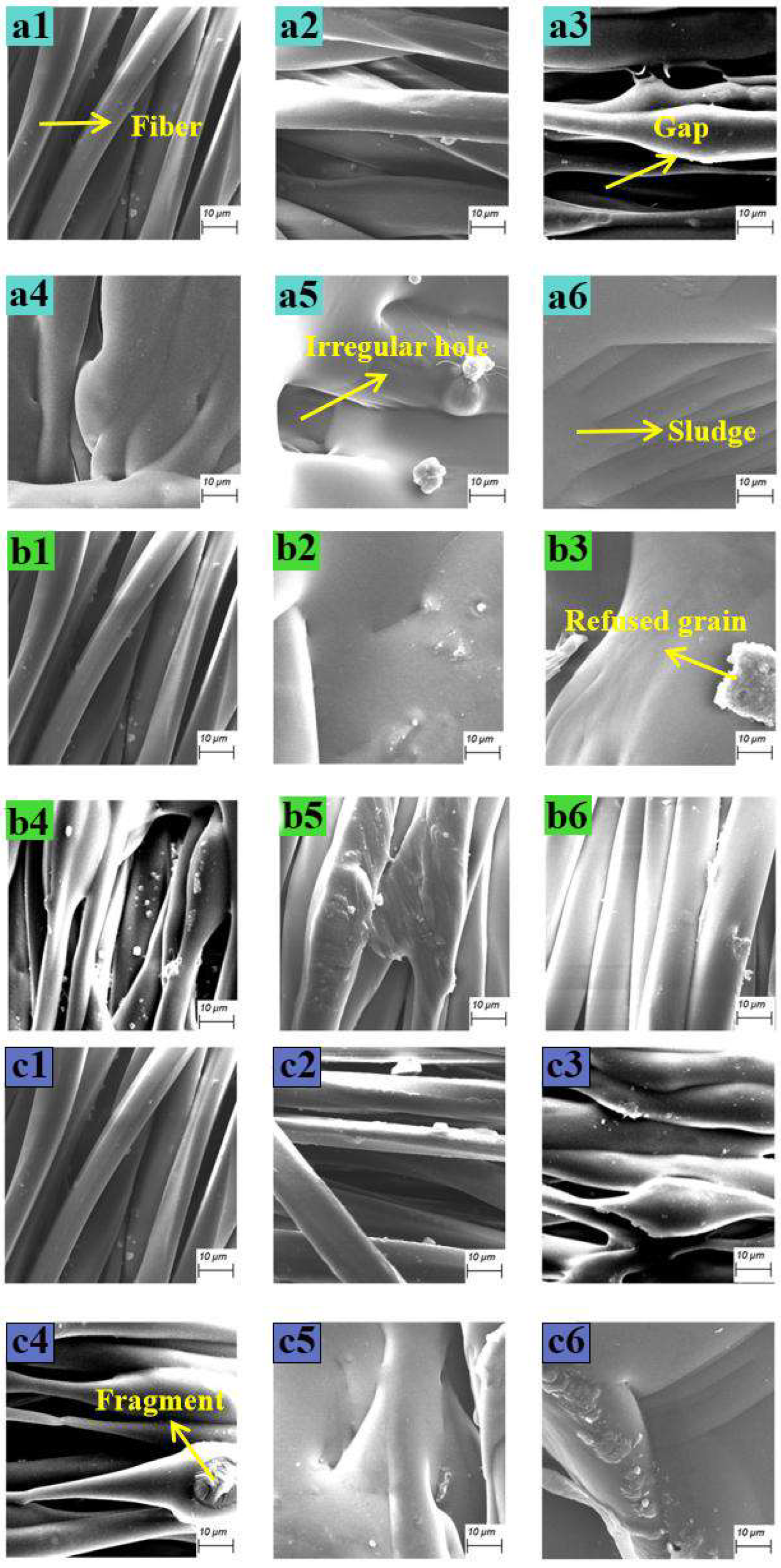 Nanomaterials 15 00701 g007