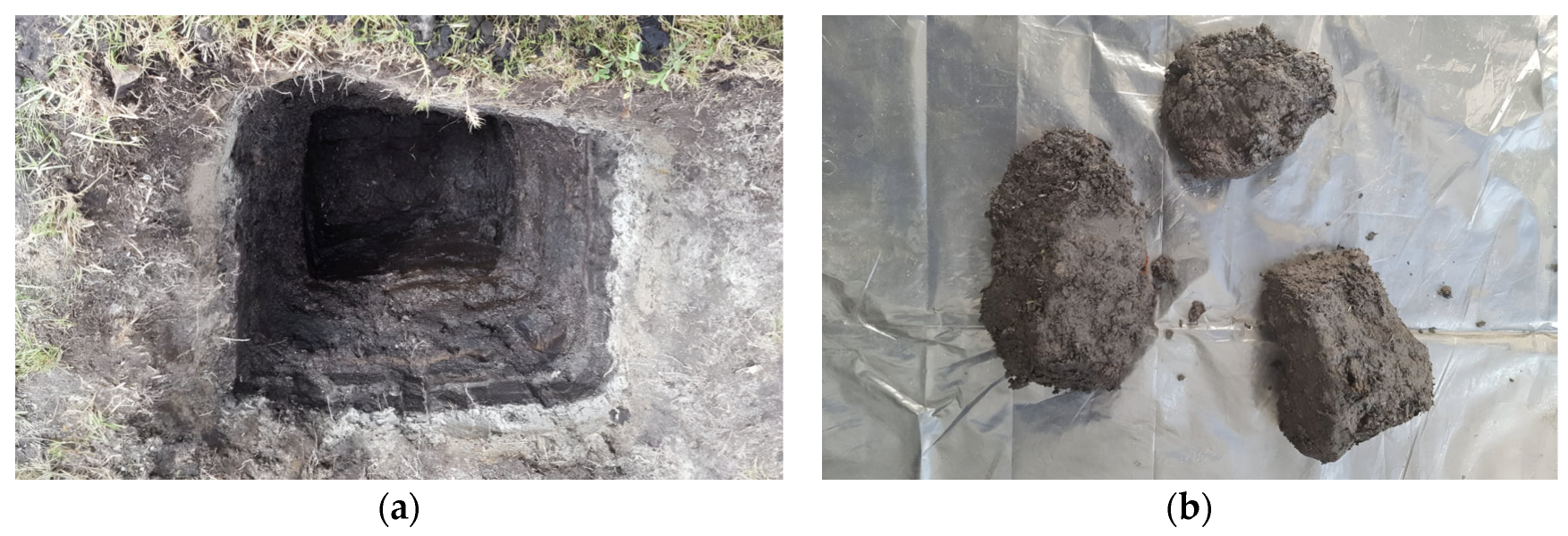 Nanomaterials 15 00702 g002a