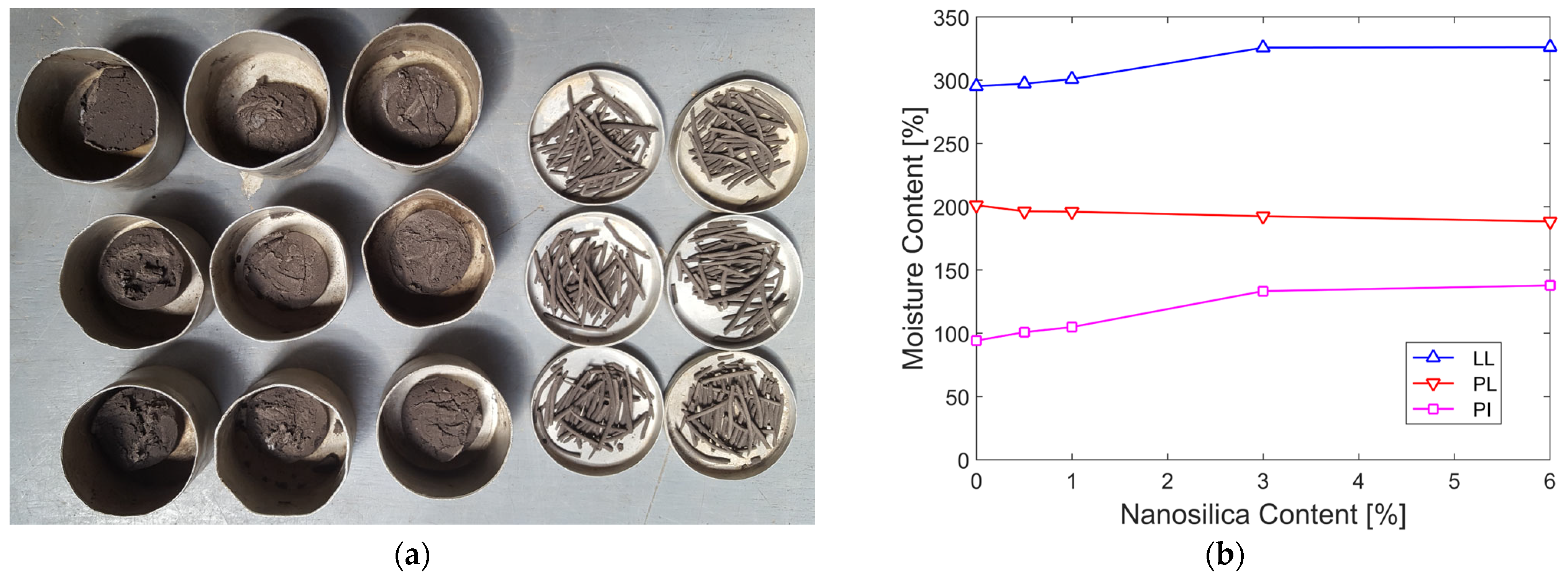 Nanomaterials 15 00702 g009
