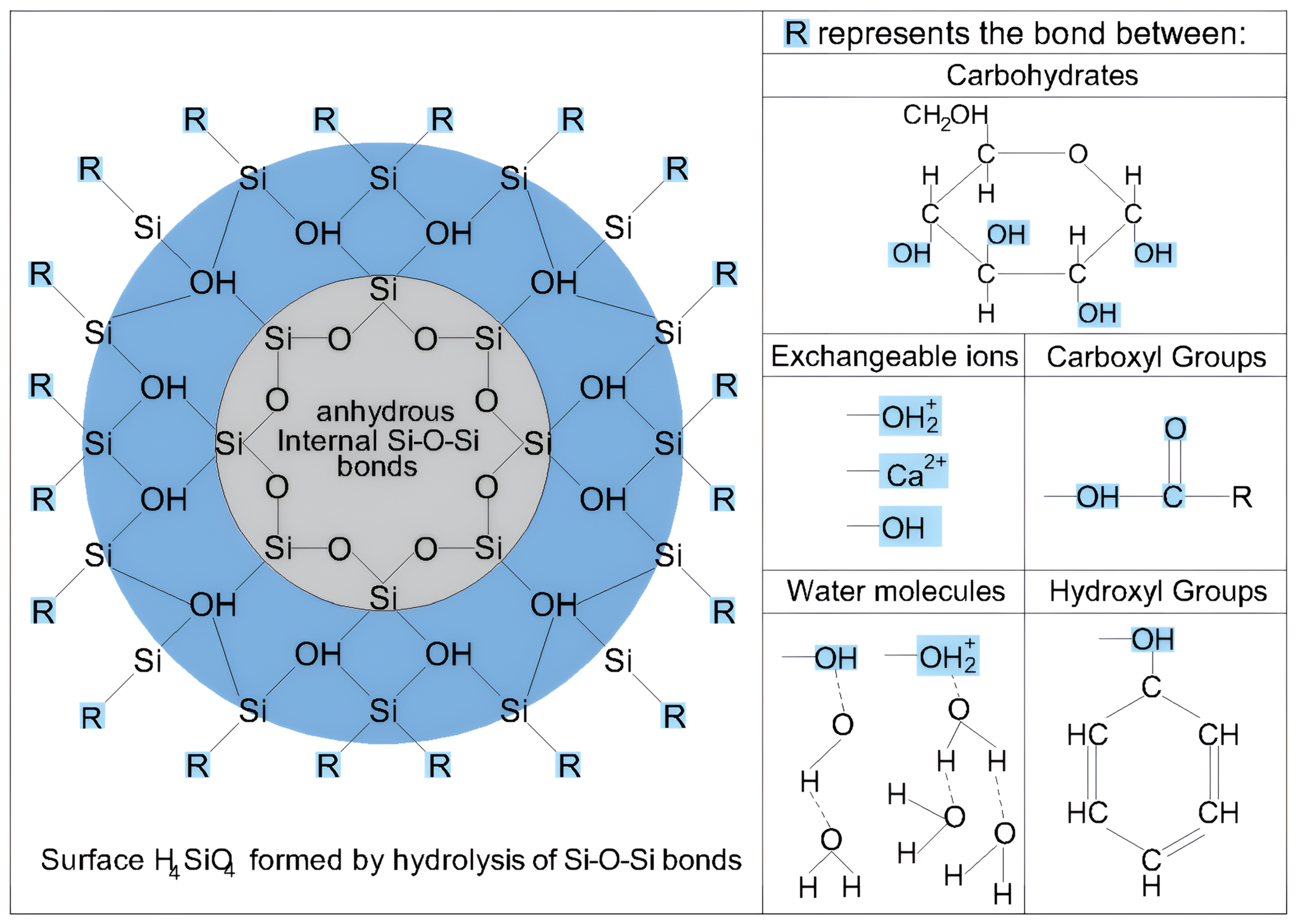 Nanomaterials 15 00702 g015