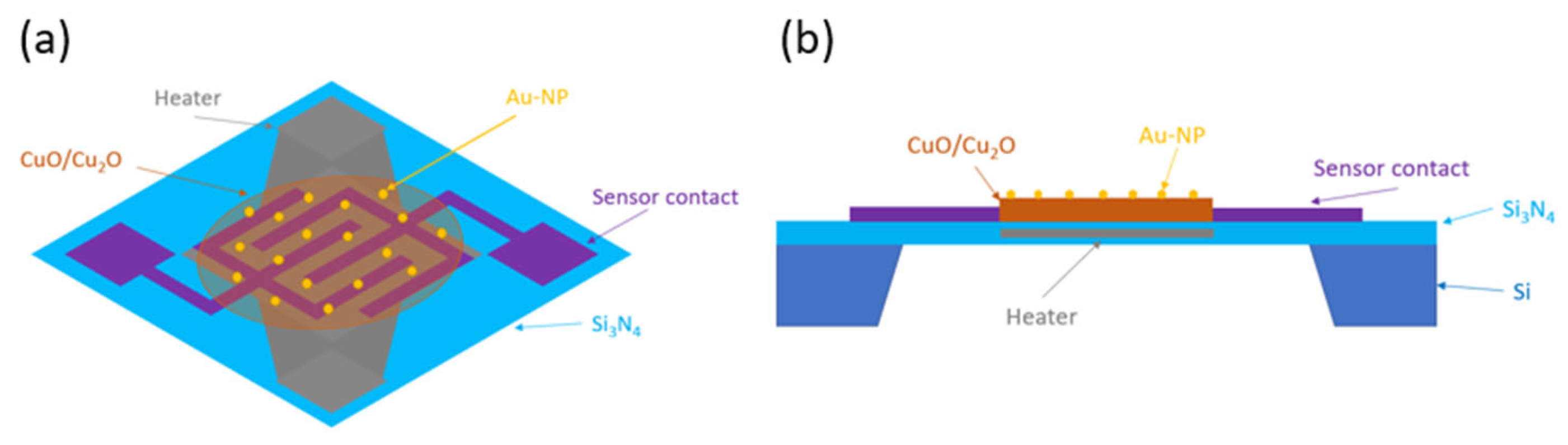 Nanomaterials 15 00705 g002
