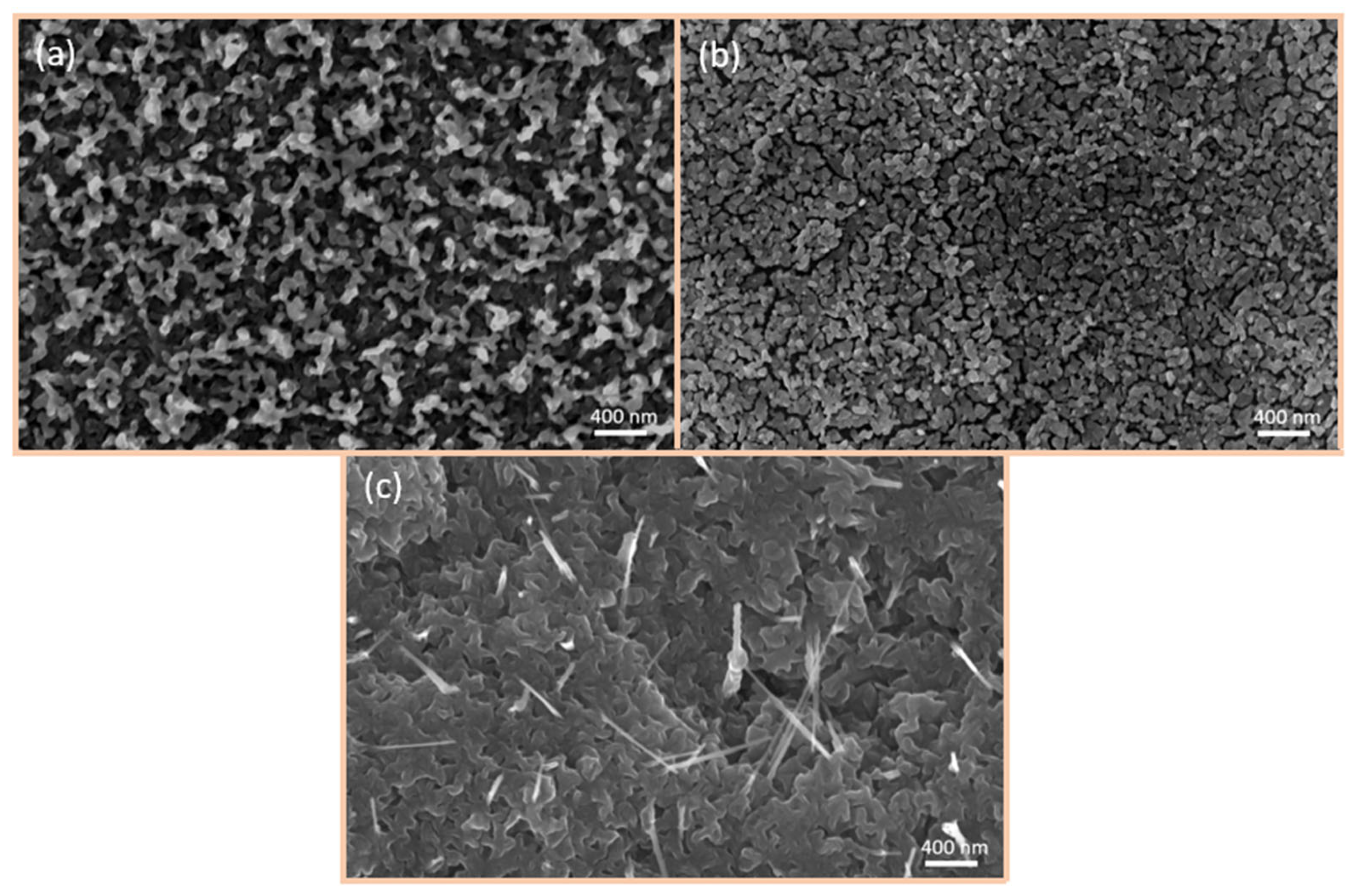 Nanomaterials 15 00705 g004