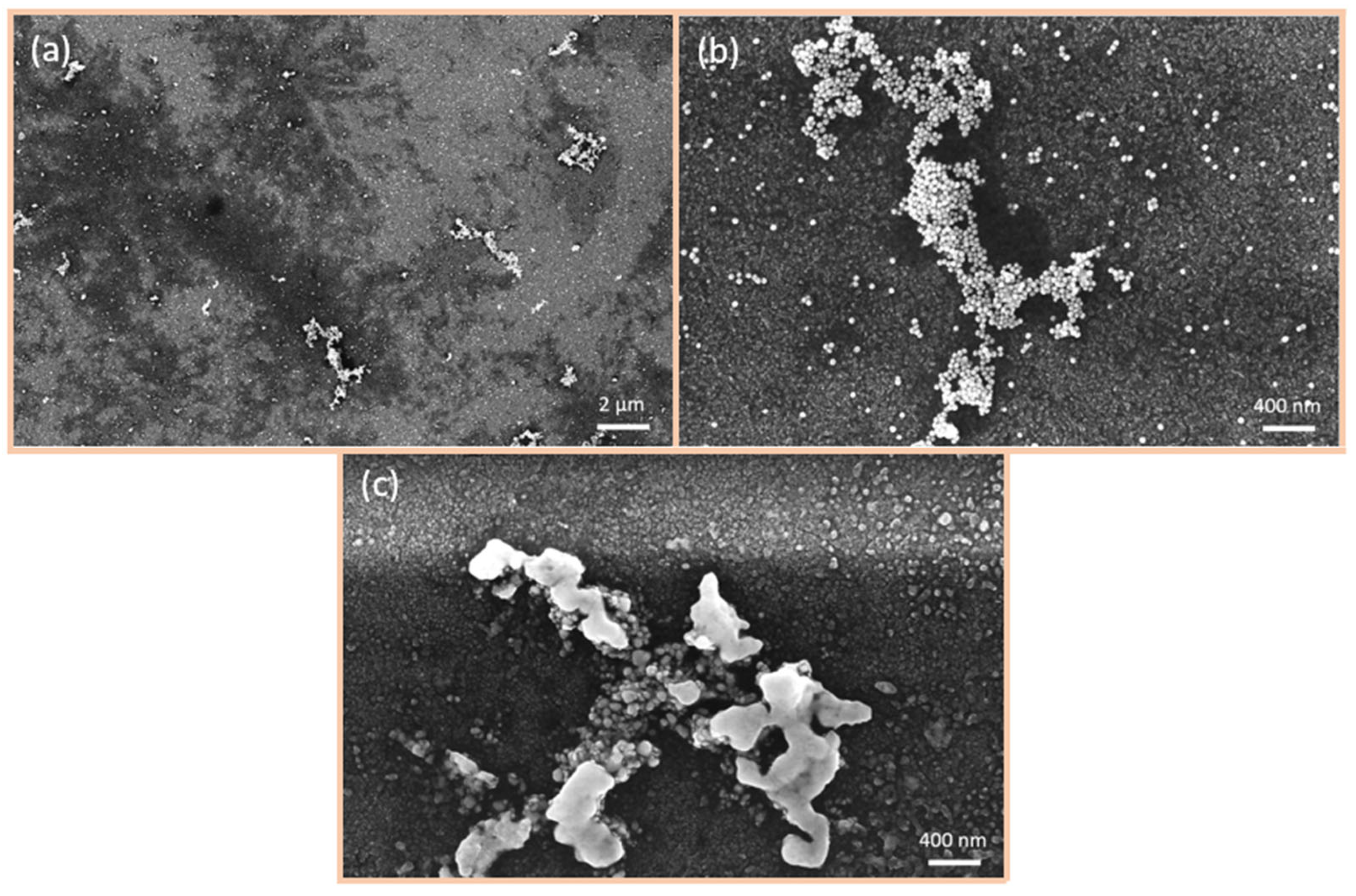 Nanomaterials 15 00705 g006