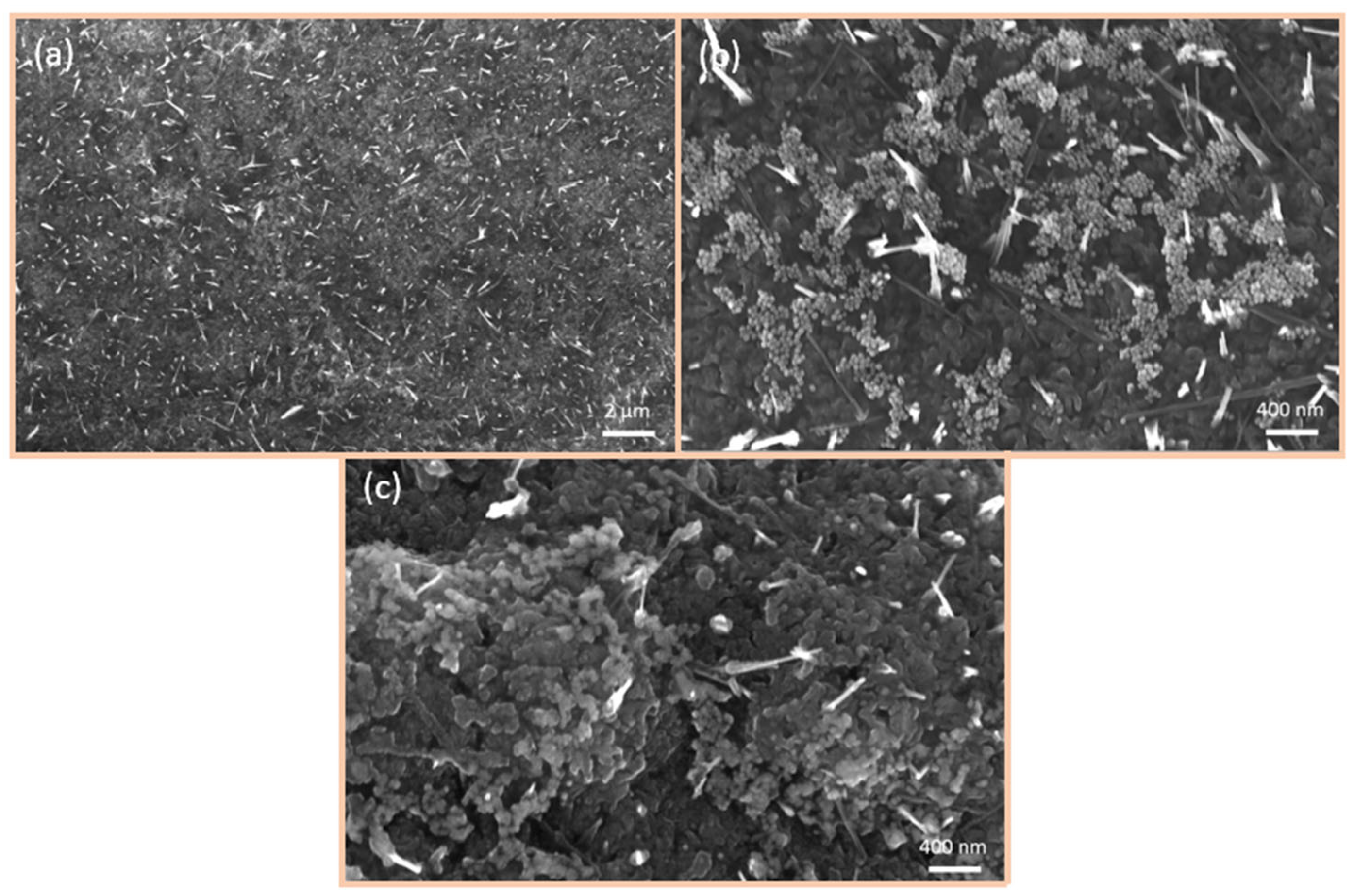 Nanomaterials 15 00705 g007