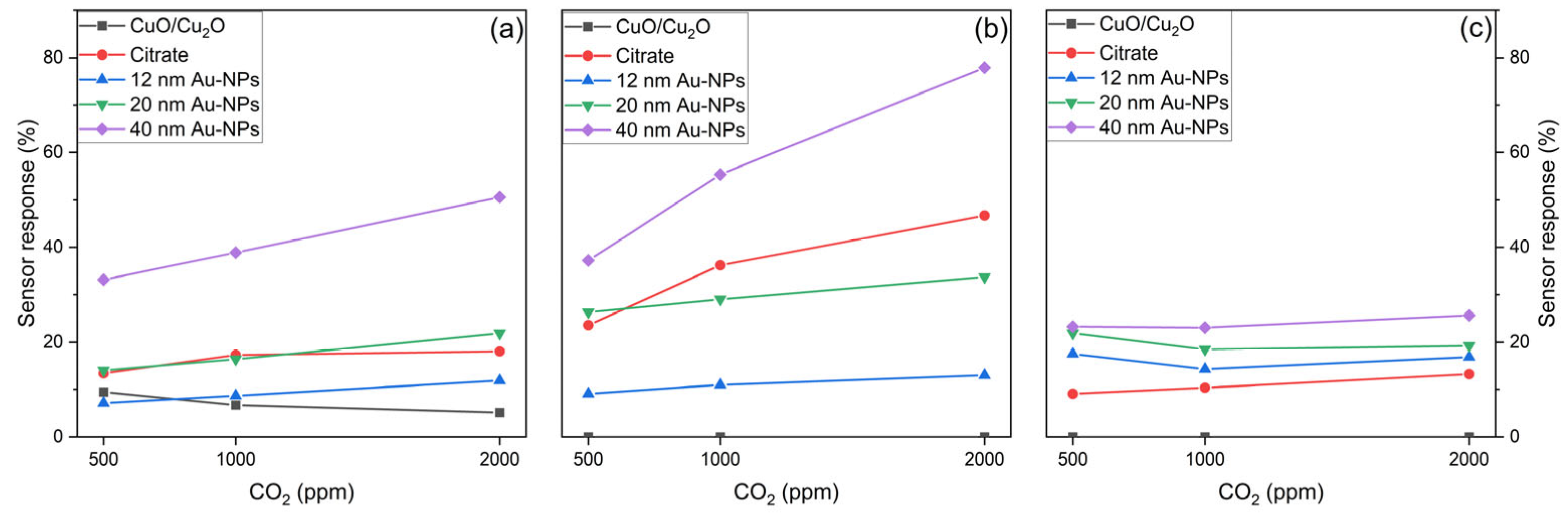 Nanomaterials 15 00705 g012
